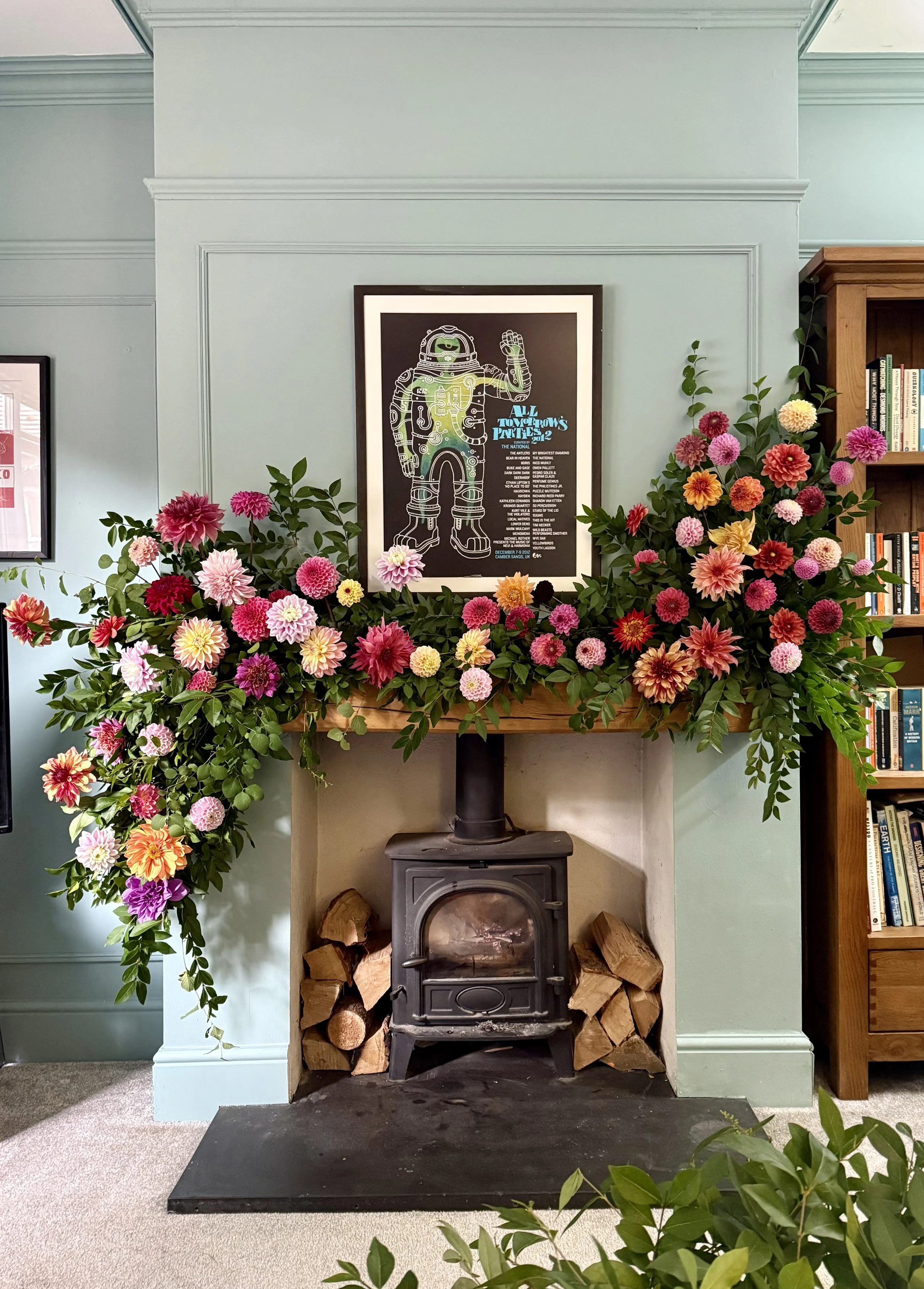 Beautiful Dahlias in Full Bloom