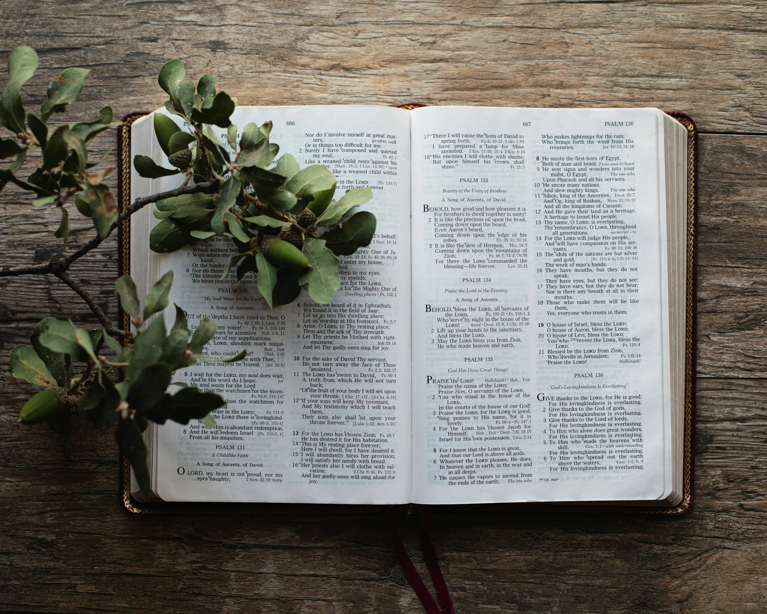 The Boundary, the Breach, and the Deliverance: A Biblical Study of Sin and Freedom (Part 3)