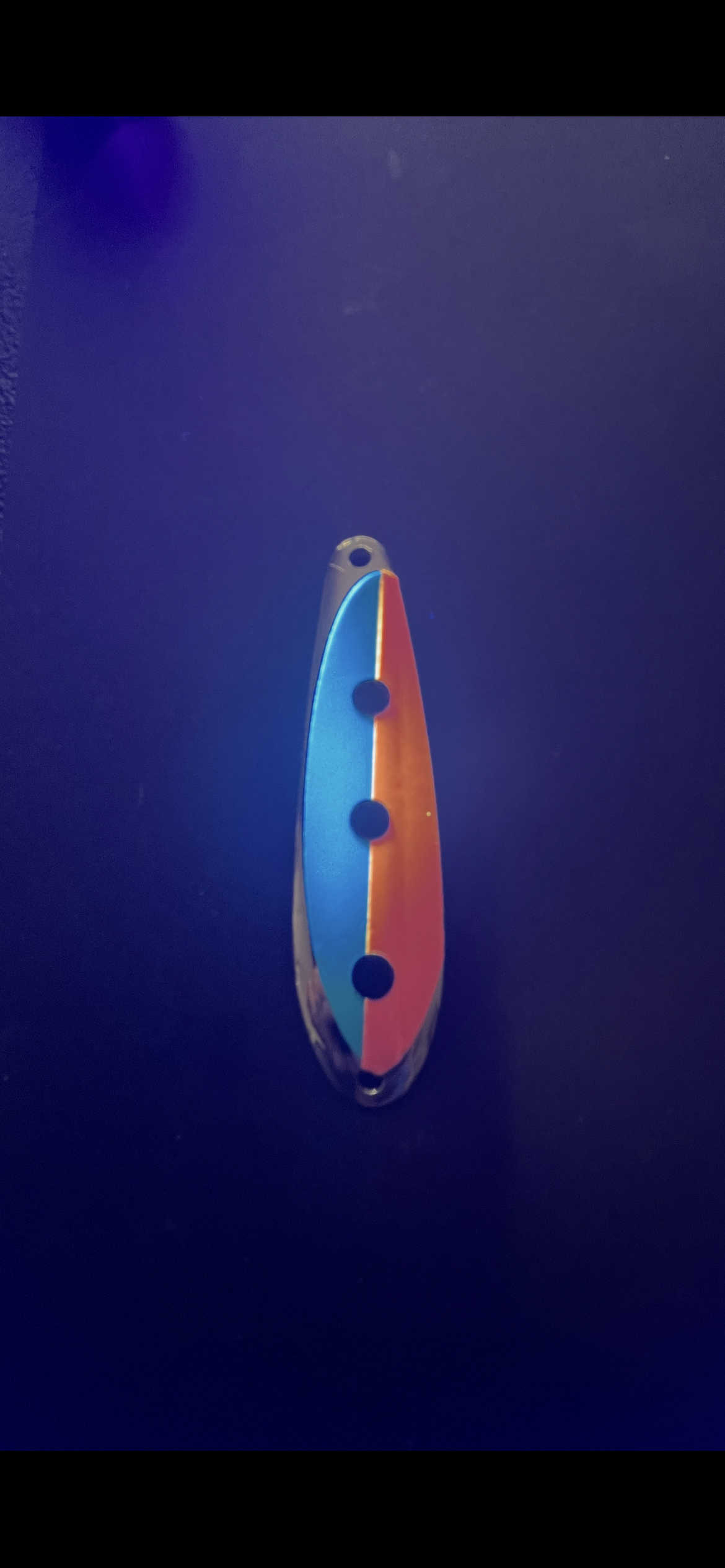 IMG_3769 2 copy.PNG