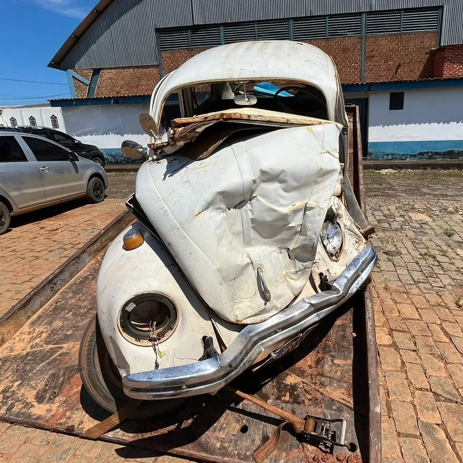 SOBREVIVER_fotos6.jpg