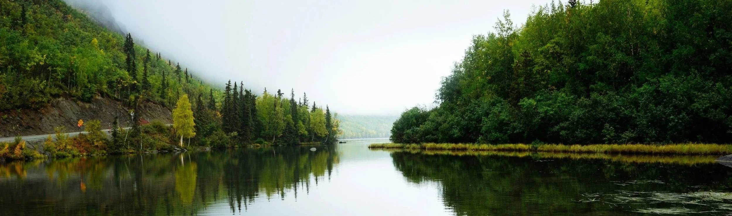 A peaceful river flowing through a lush green forest with tall trees on both sides. The water reflects the greenery and the cloudy, foggy sky above.
