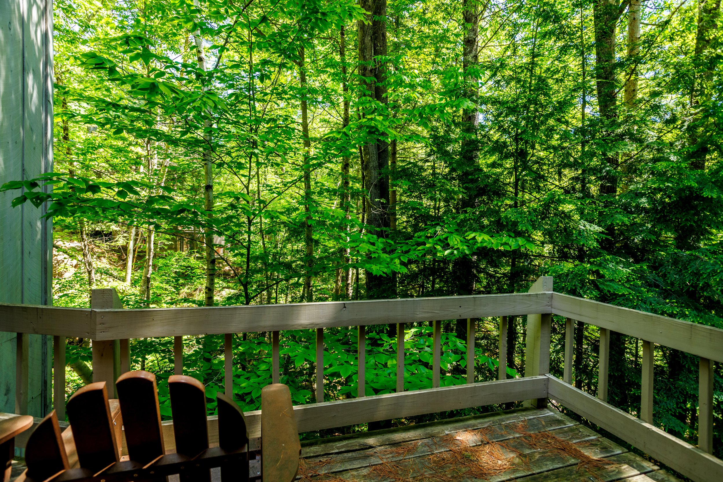 F4 Vista View Lane Conway - Red Maple28.jpg