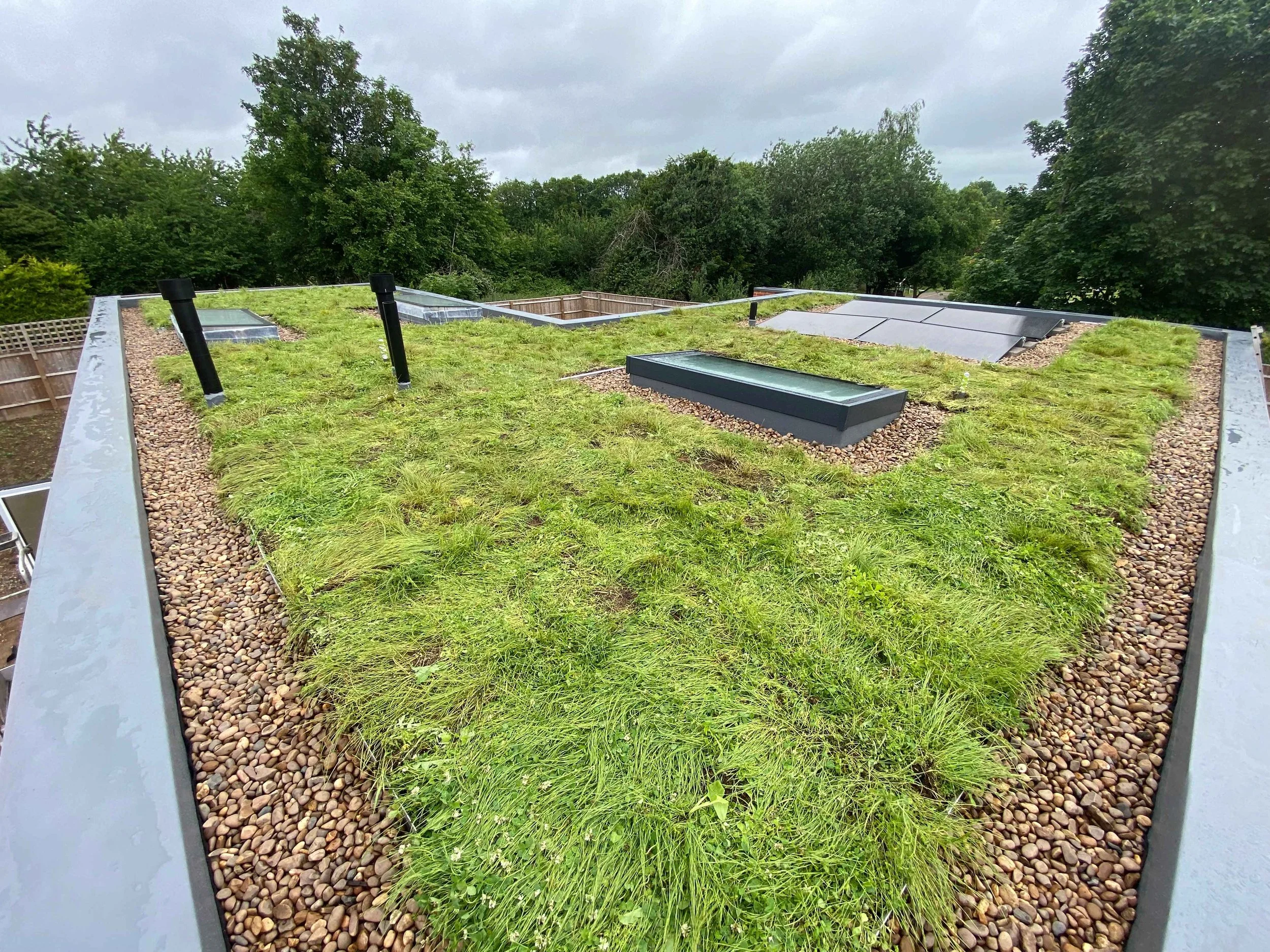 Flat rooftop with green grass, small rocks, and several skylights, surrounded by a wooden fence and dense trees under a cloudy sky.