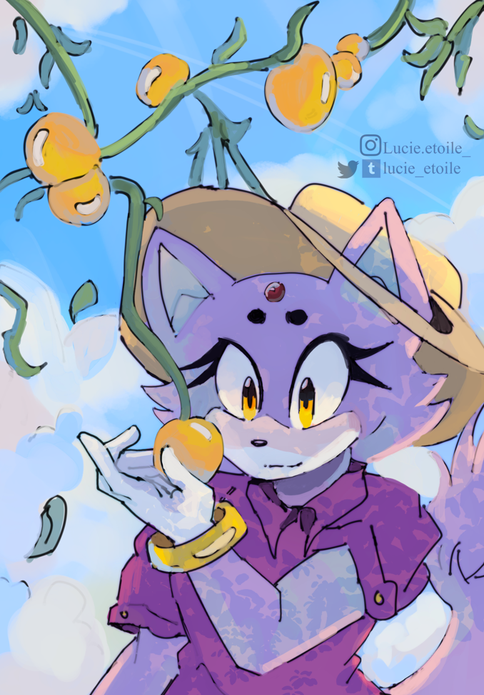 Blaze the Cat.png
