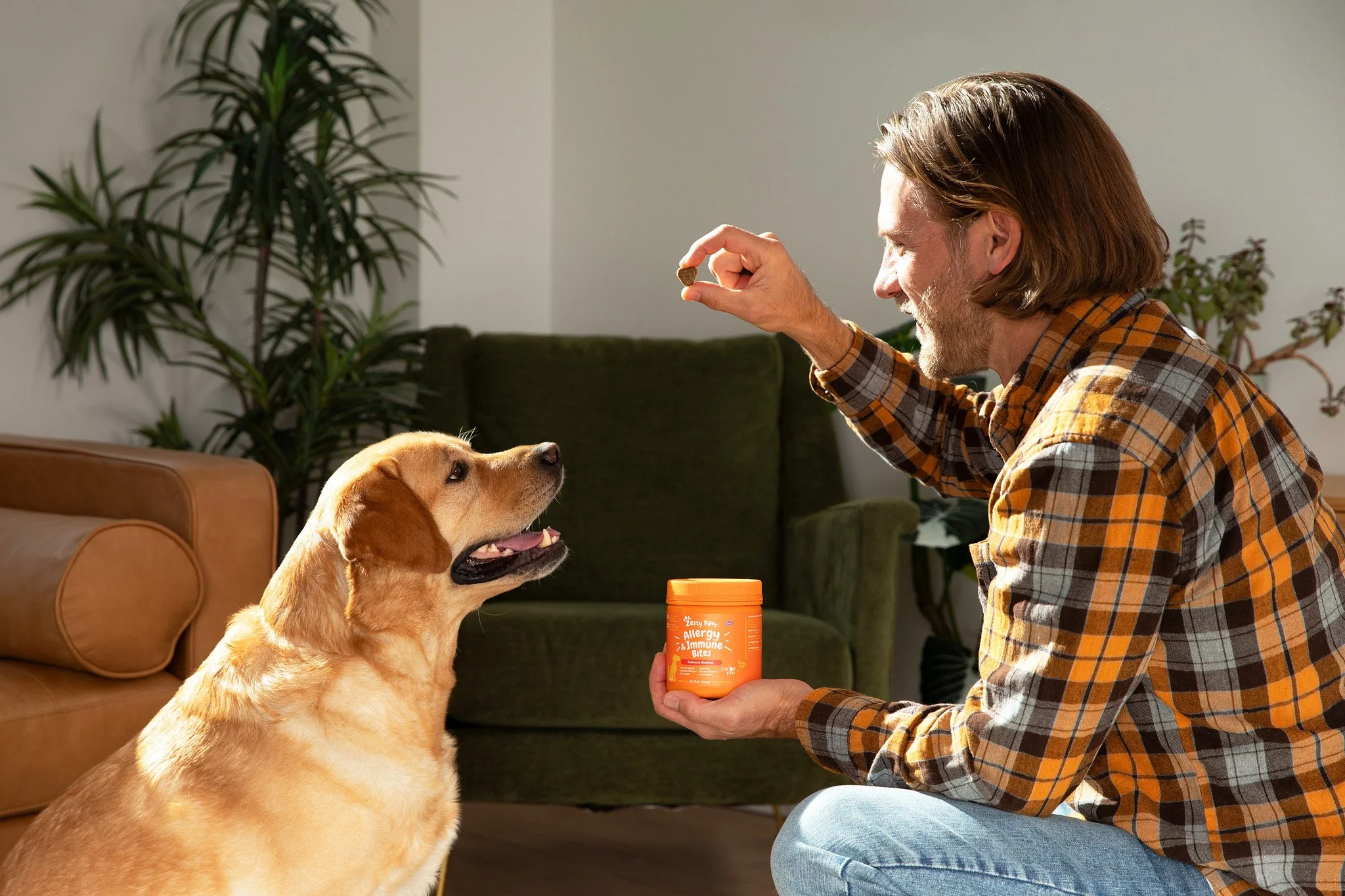 A man with shoulder-length hair wearing a plaid shirt giving a treat to a Labrador retriever dog during the daytime indoors.