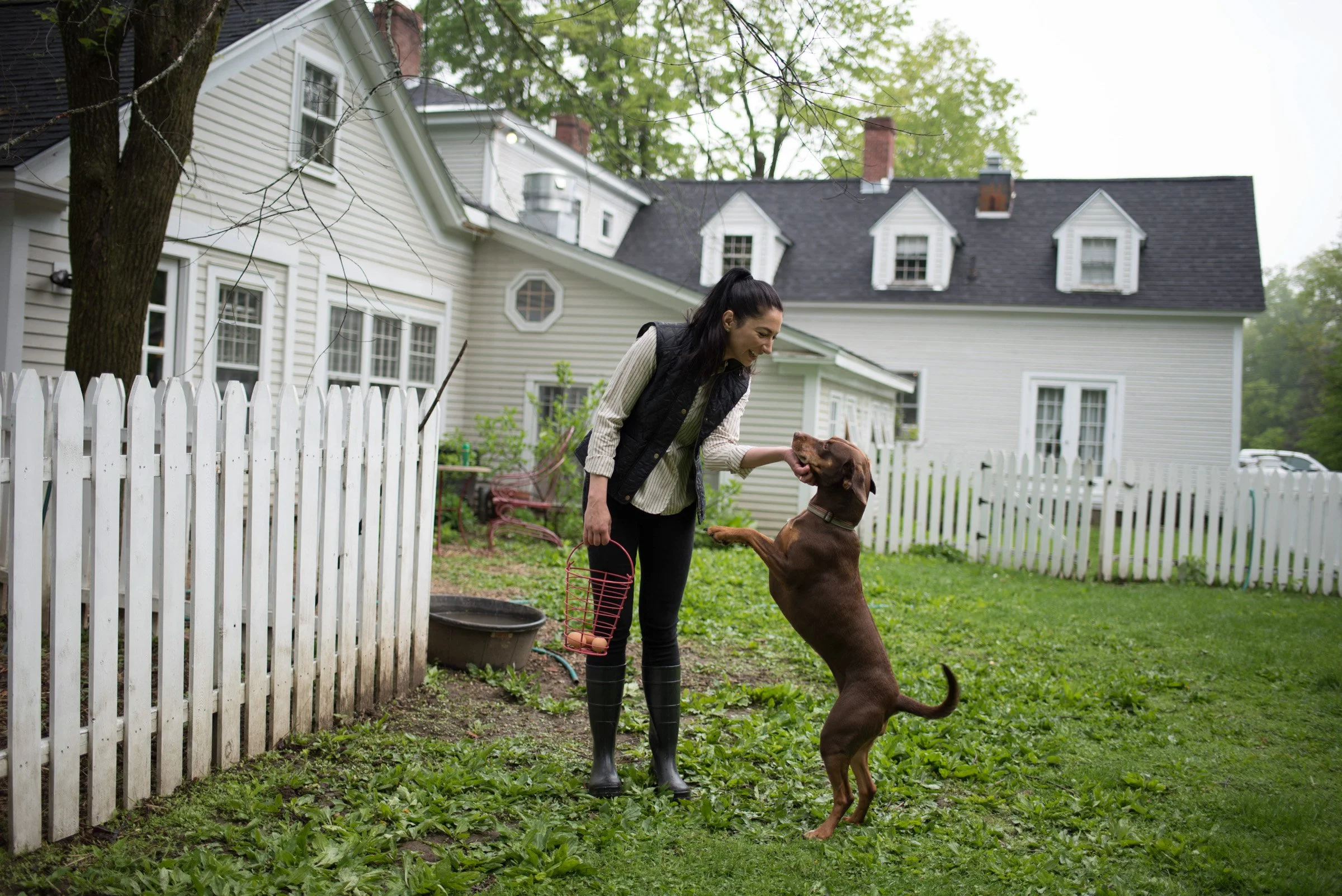 A woman with dark hair tied back, wearing a black vest, striped shirt, black pants, and rubber boots, smiling and playing with a large brown dog that is standing on its hind legs in a backyard with a white picket fence and a white house with gray roo