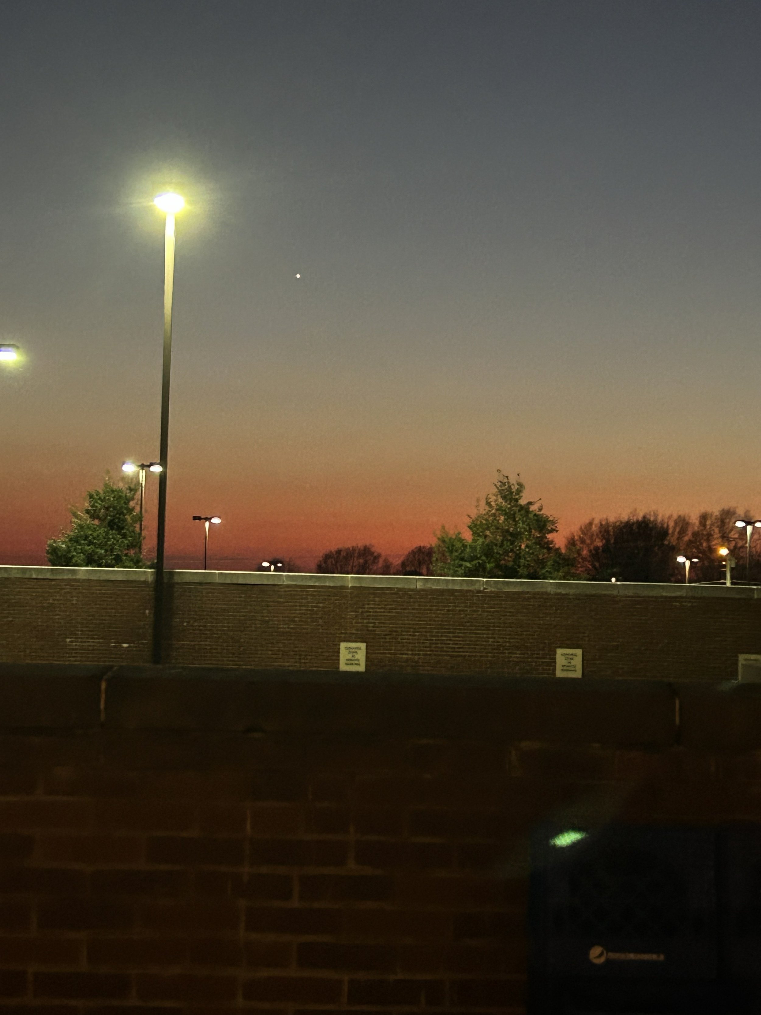 IMG_1211.jpeg
