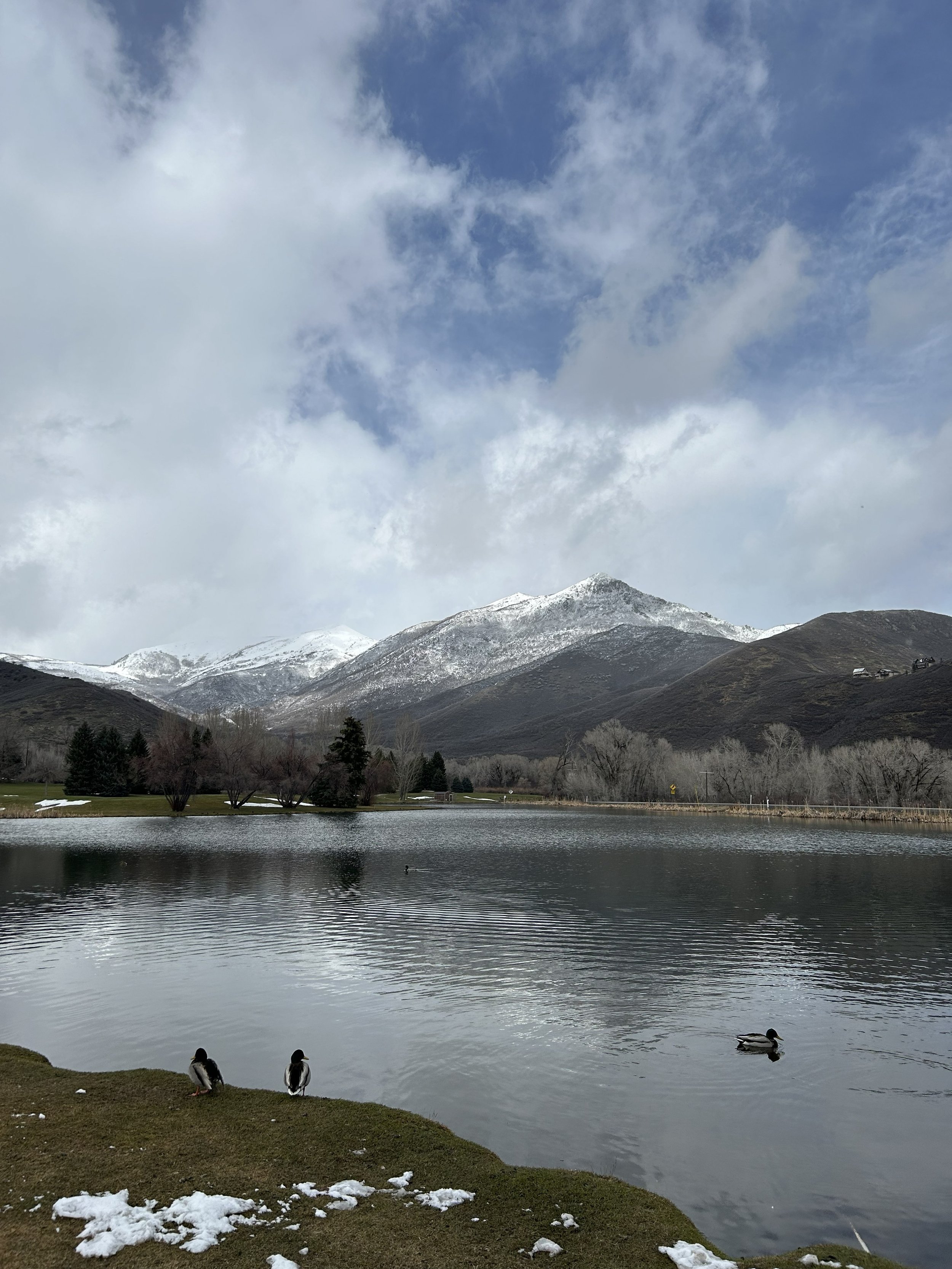 IMG_8683.jpeg