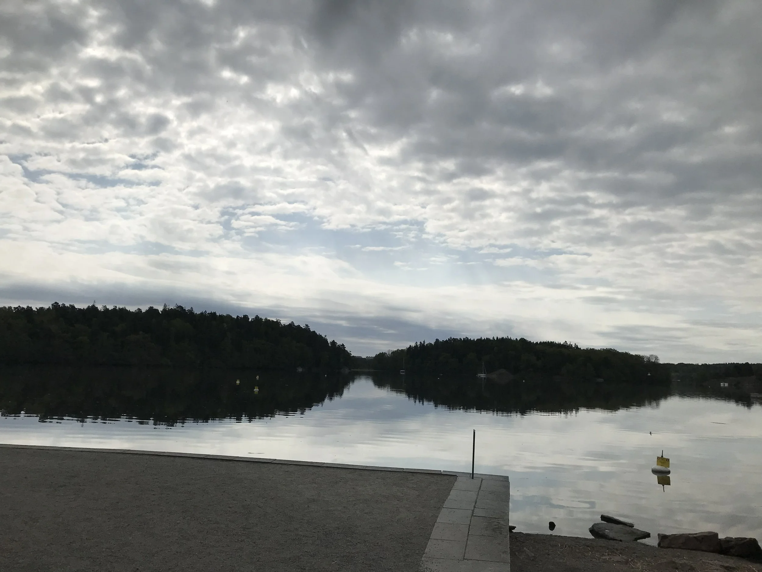 IMG_6156.jpeg