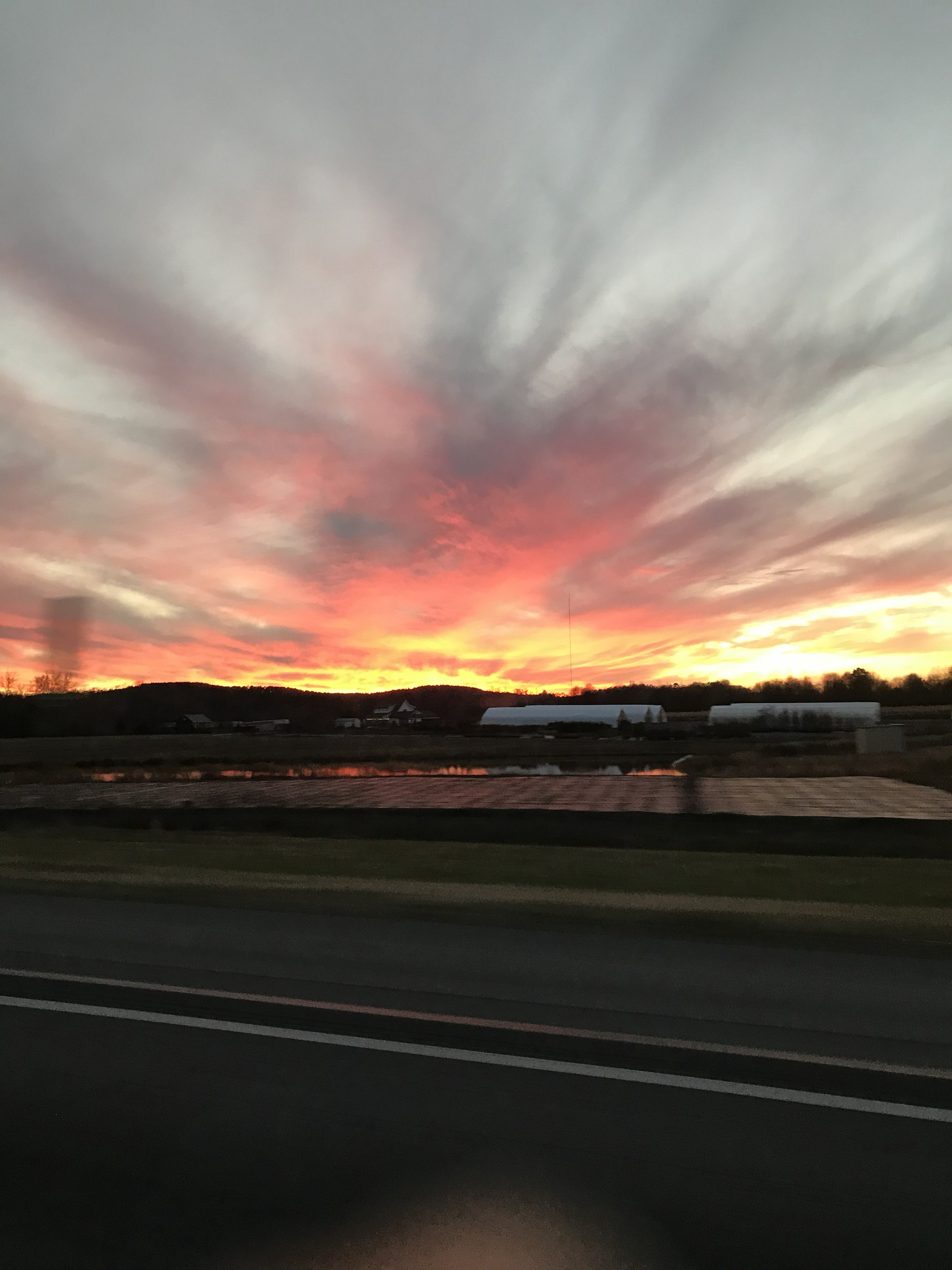 IMG_3872.jpeg