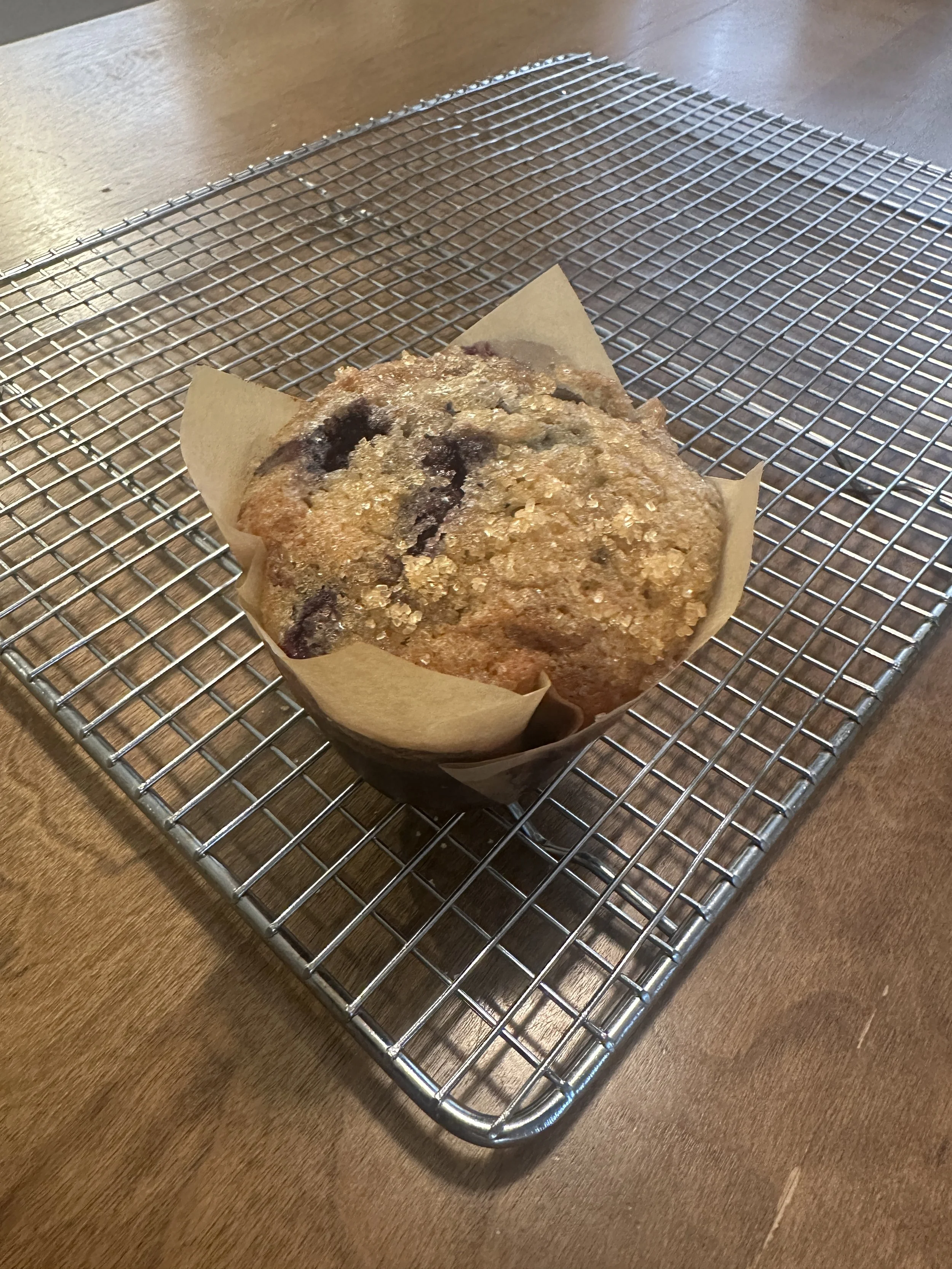 Blueberry Muffin