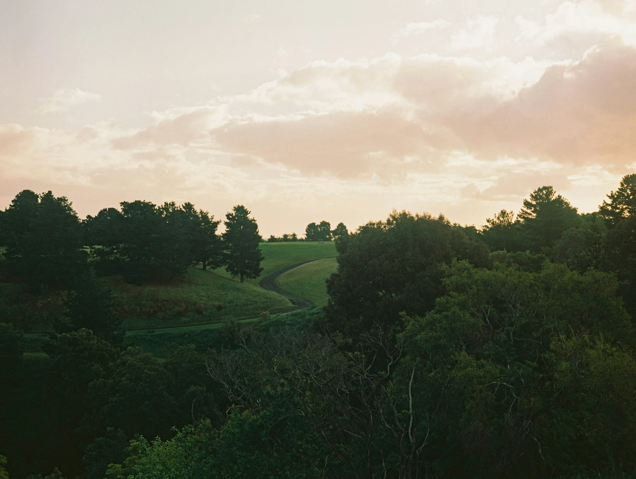 A landscape scene of green trees and grass under a cloudy sky during daytime.