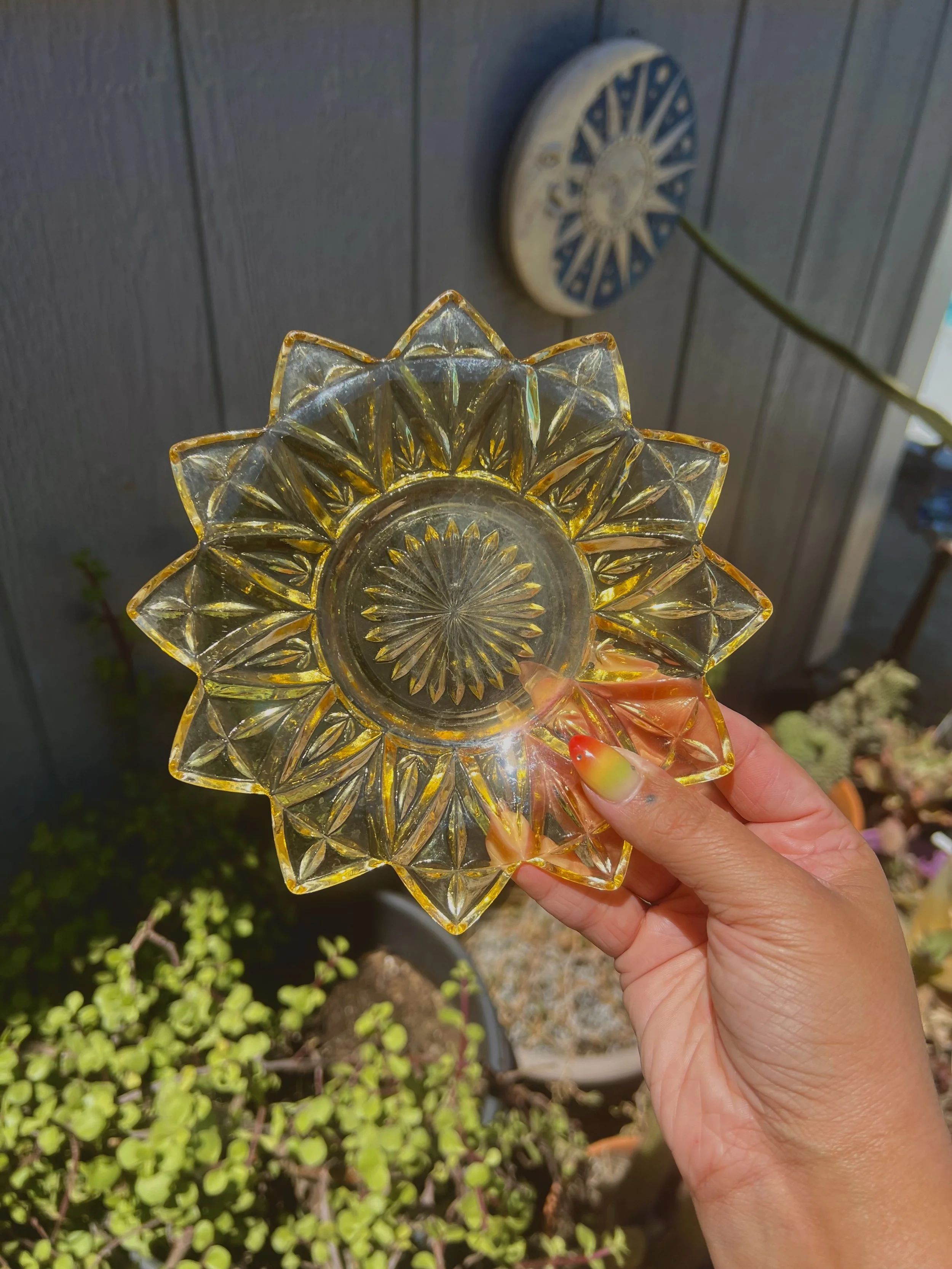 Sunflower Dish