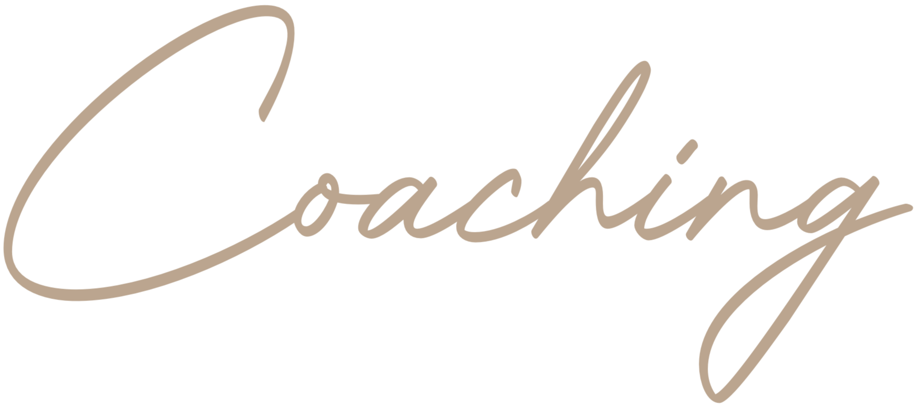 Women's fitness and nutrition coaching programs including one-on-one personal training, hybrid coaching, and VIP coaching.