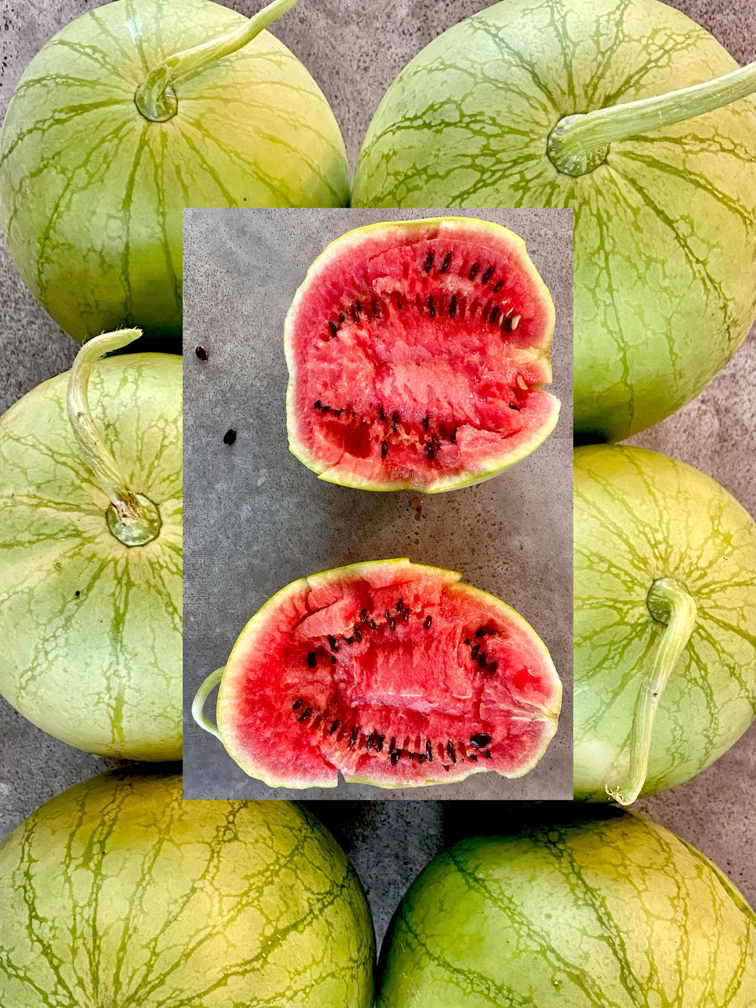 🍉🤤