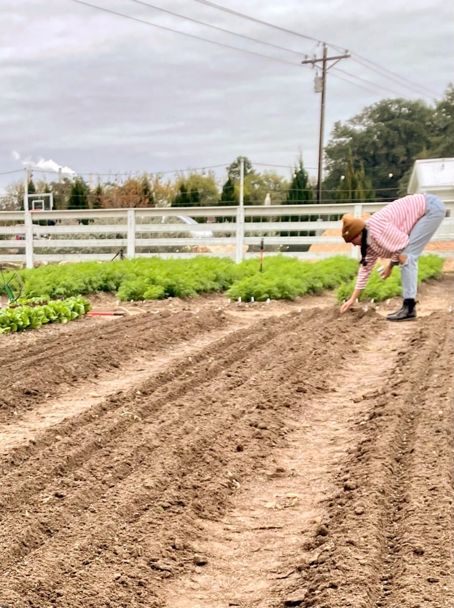 Ariana seeding carrots a few years back. The opening story I tell in my newest essay, &ldquo;Plant By Plant&rdquo; is from this exact day.

As always, check it out at the link in my bio.