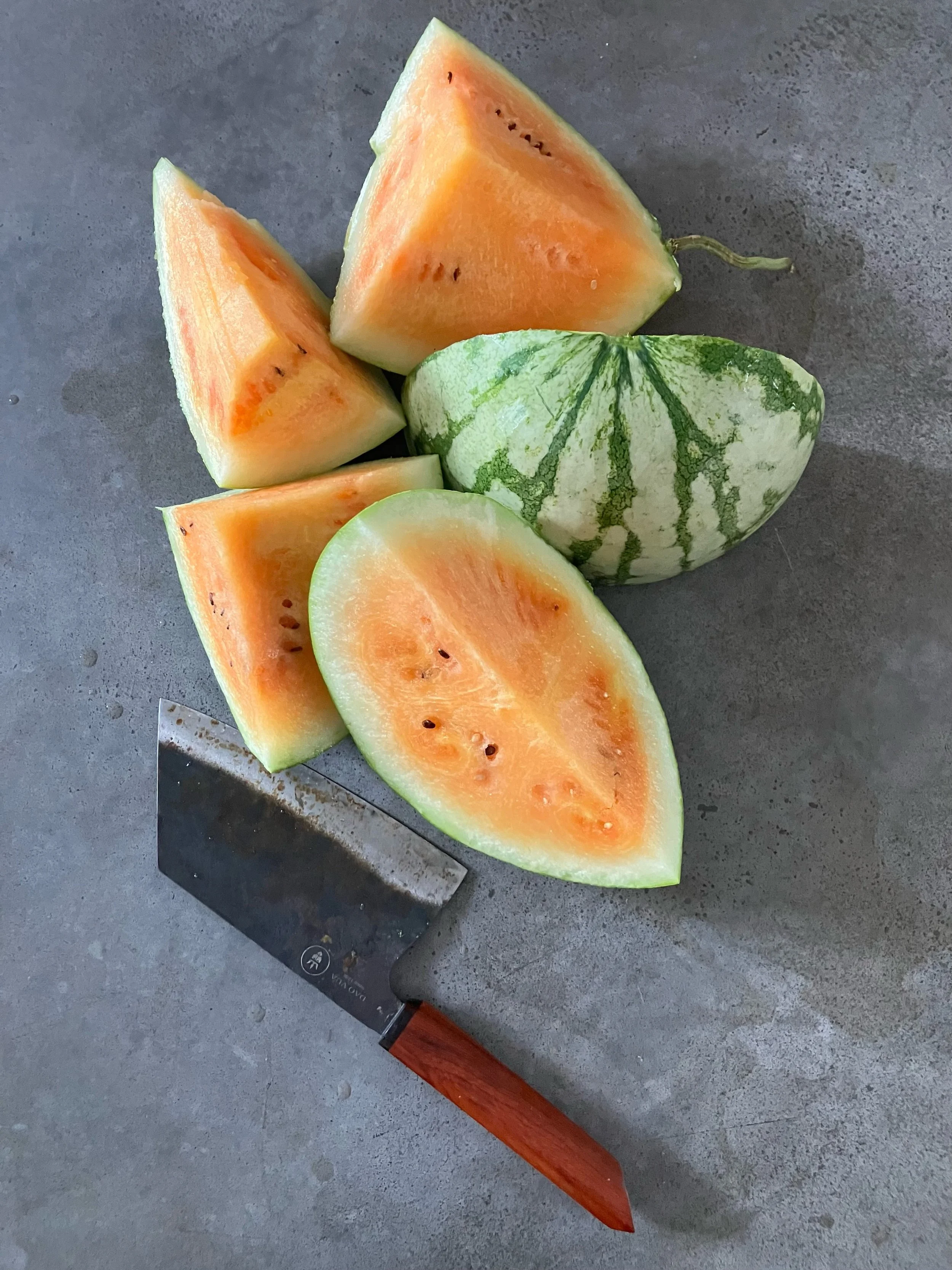 I grew an orange watermelon! This is the Orange Crisp variety from @johnnys_seeds 

The look and flavor both delivered