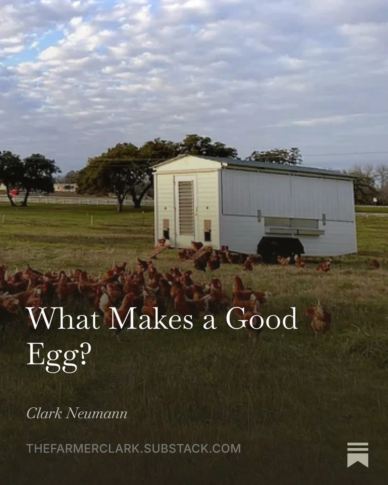 I struggled with this one all week. 

What started out as an attempt to tackle the world of food labels and production terminology turned into 1,000 words about eggs. It also marks 12 straight weeks of writing and publishing!

Link to read is in my b