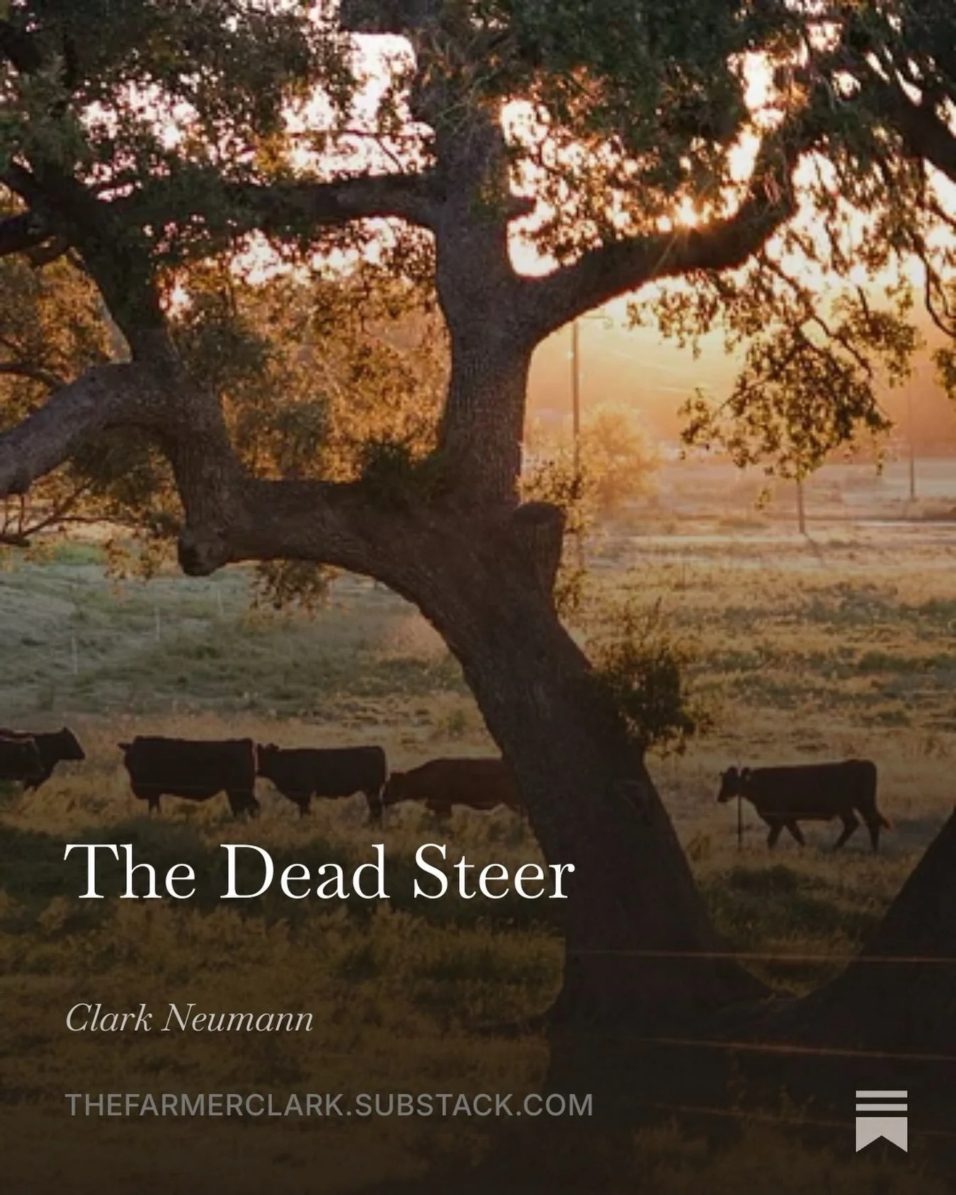 In farming, death is often at the other end of a job poorly done. A neglected crop dies of thirst; a broken door on a chicken coop welcomes in a coyote. When I started growing food, keeping things alive was my main focus and definition of success. If