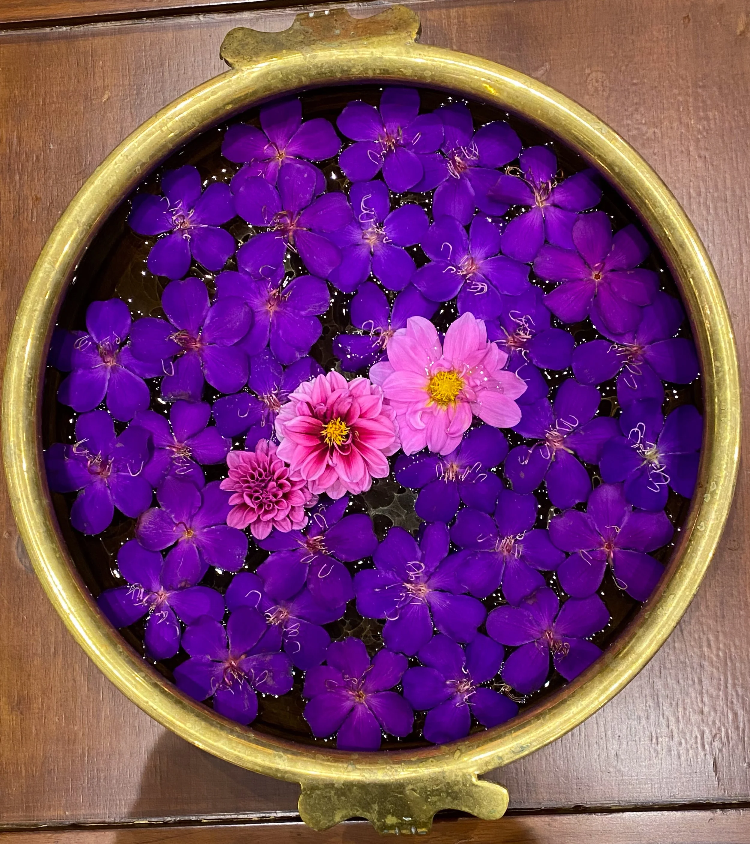 A round gold tray filled with purple and pink flower petals floating in water.