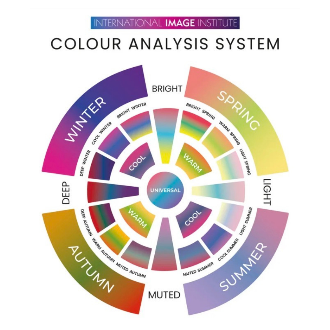 Color analysis system chart showing seasonal color palettes: winter, spring, summer, and autumn, with corresponding tones like cool, warm, bright, and muted.