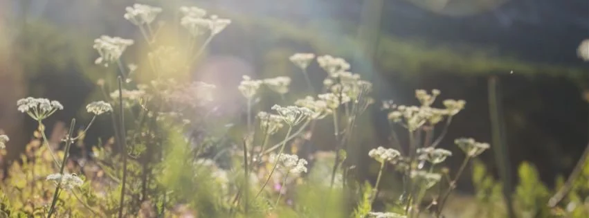 5 Things Your Funeral Home Doesn't Have to Tell You (But Should)