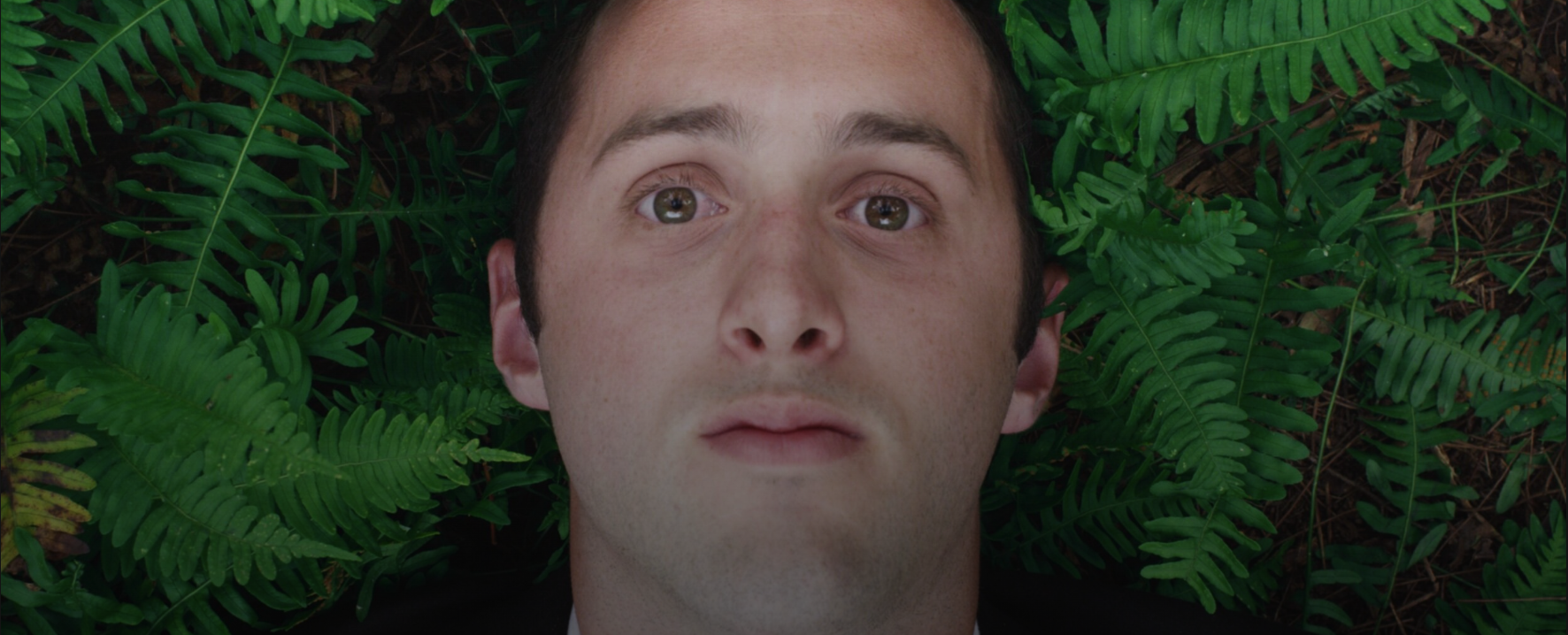 Close-up of a man's face with brown hair and hazel eyes, lying among green fern leaves.