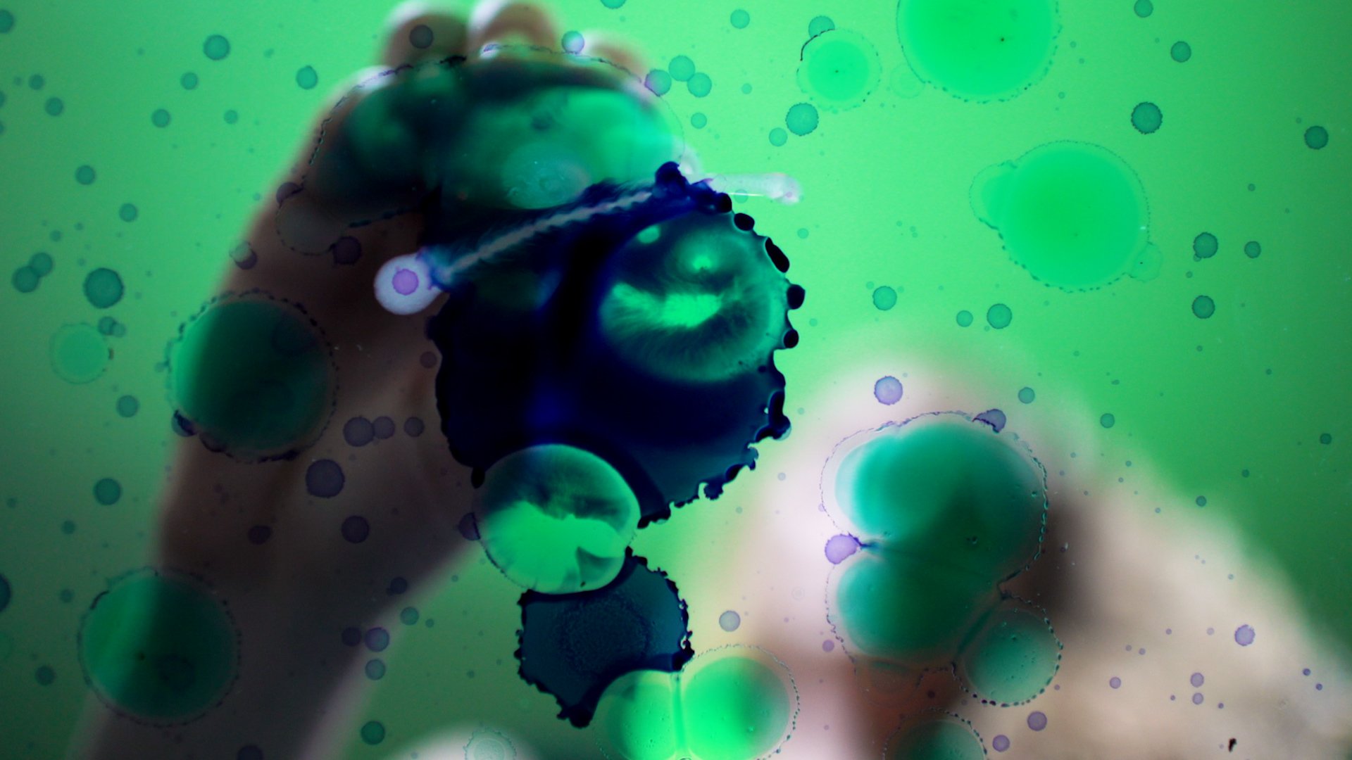 ABSTRACTPAINT.jpg