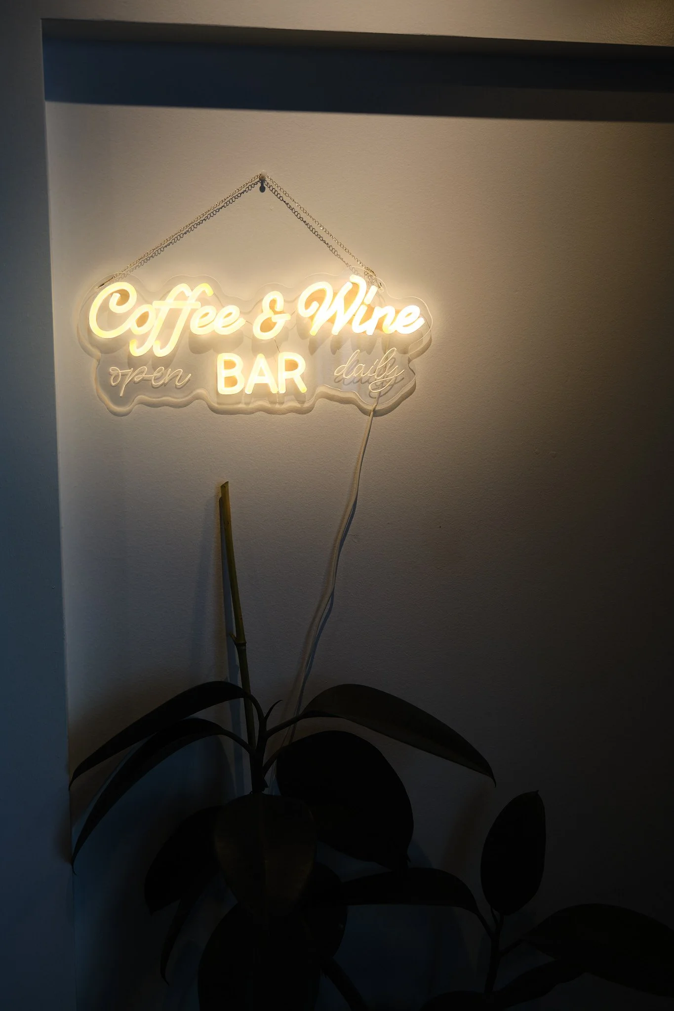 Illuminated neon sign reading 'Coffee & Wine open BAR daily' hanging from a chain on a white wall, with a dark plant with broad leaves in the foreground.
