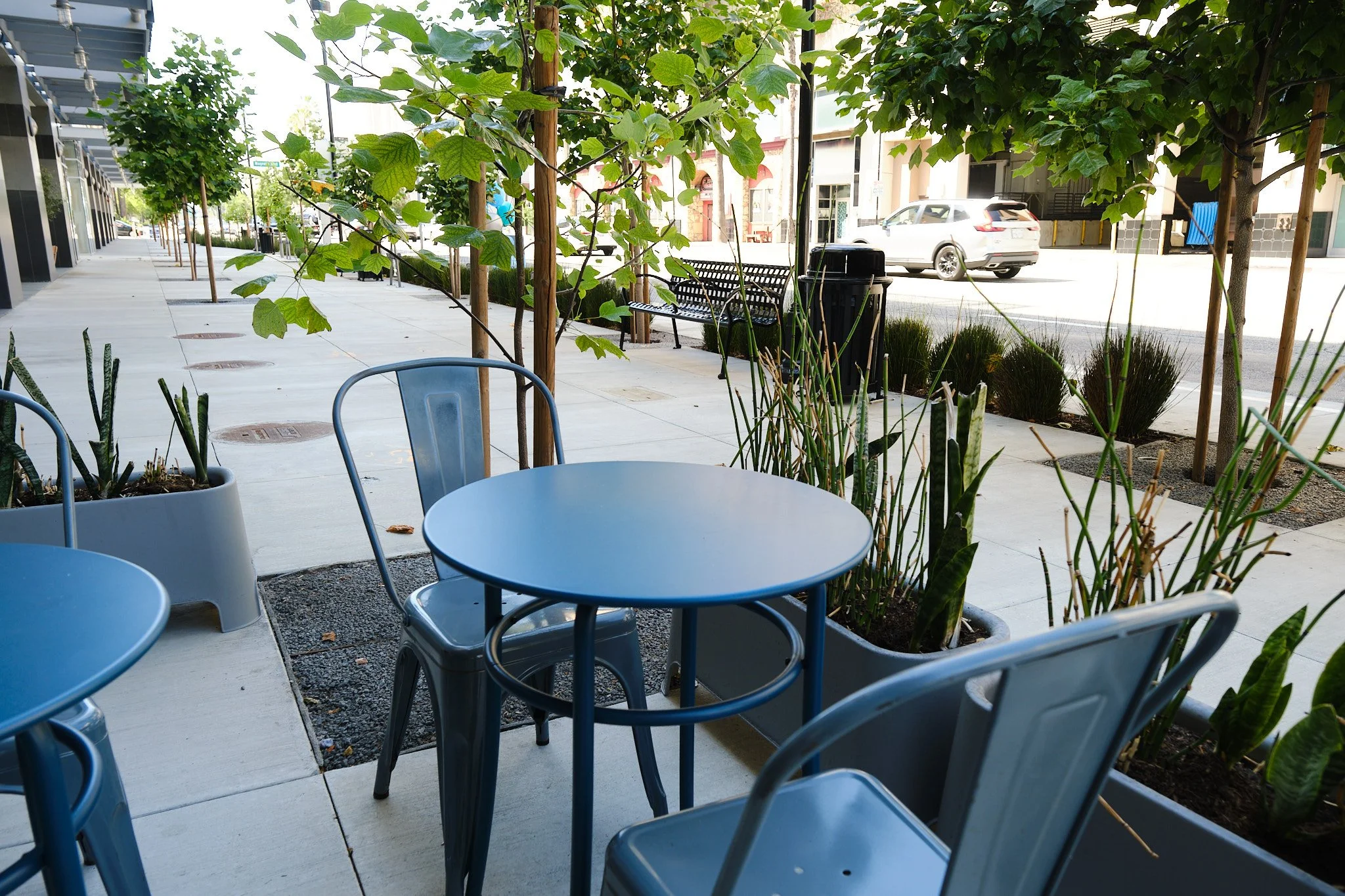 Outdoor cafe seating with metal tables and chairs, surrounded by young trees supported by wooden stakes, across from a city street with parked cars and storefronts.
