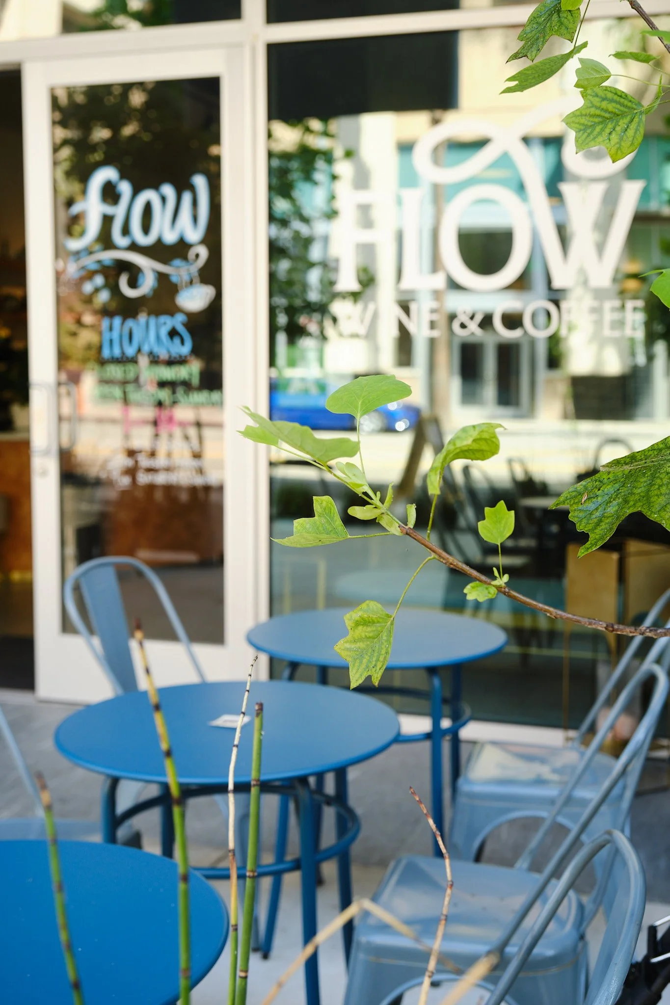 Outside view of a cafe or coffee shop with blue tables and chairs, green leaves in the foreground, and a glass door with the word 'FLOW' written on it.