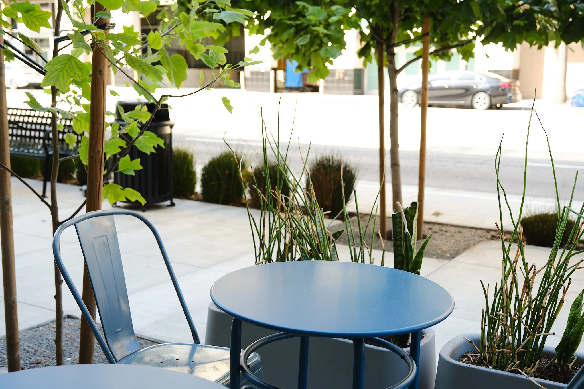 Empty patio table and chairs surrounded by potted plants and greenery with parked cars and buildings in the background.