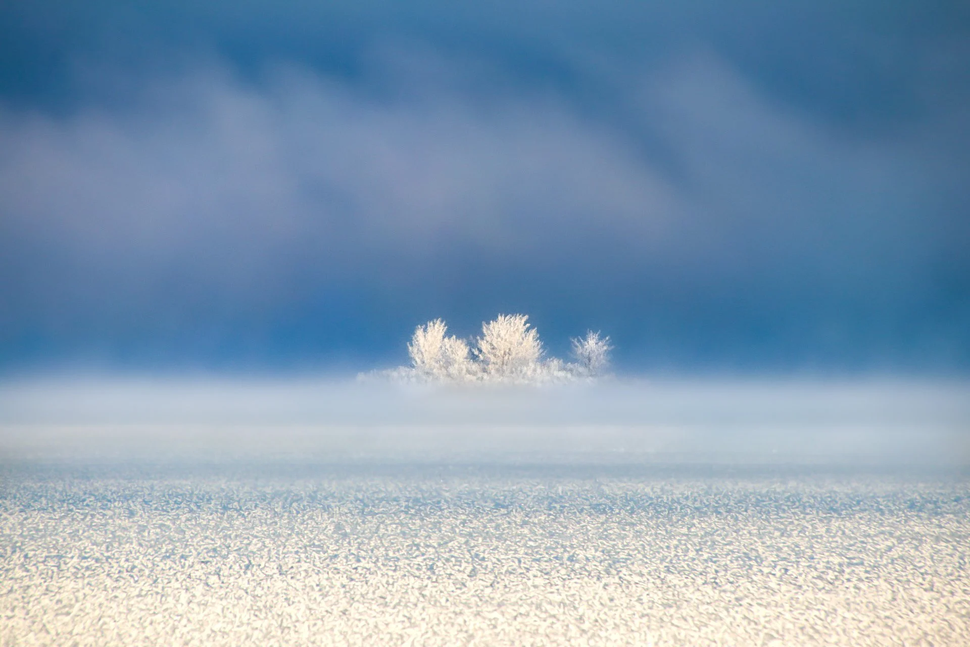 anna-snow-photography-work-landscapes-006.jpg