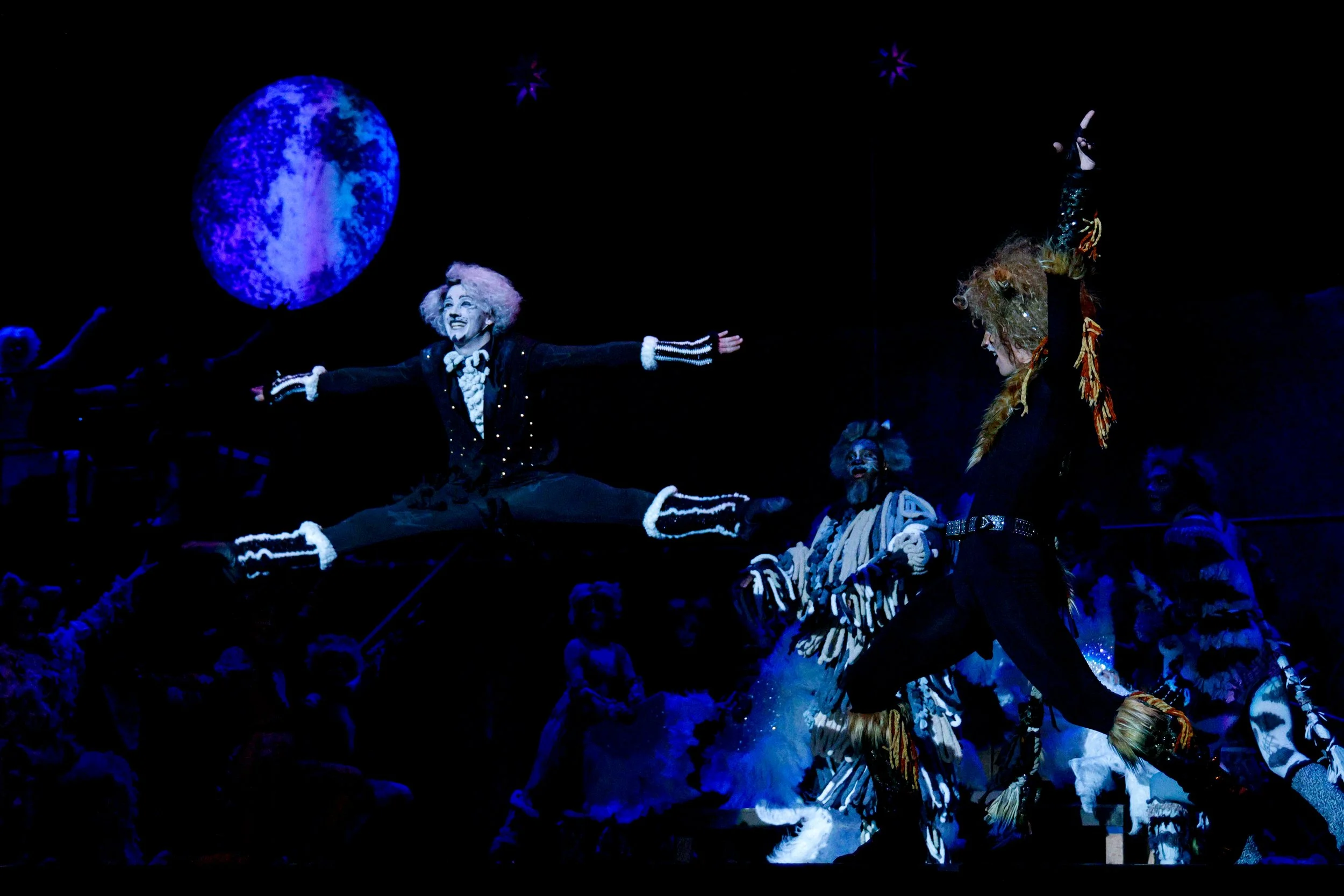 CATS-052.jpg