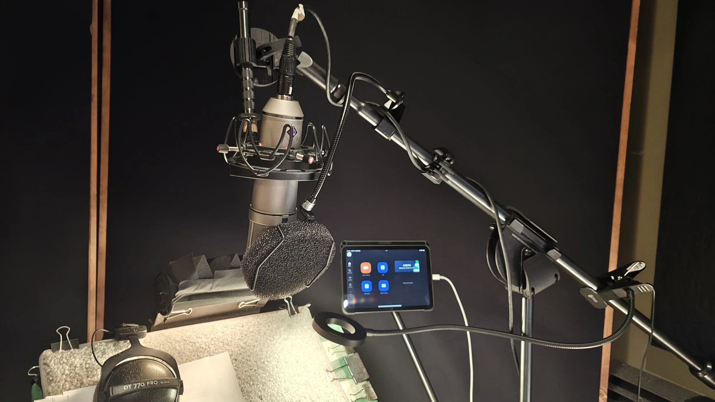 Neumann U87 with zoom feed.