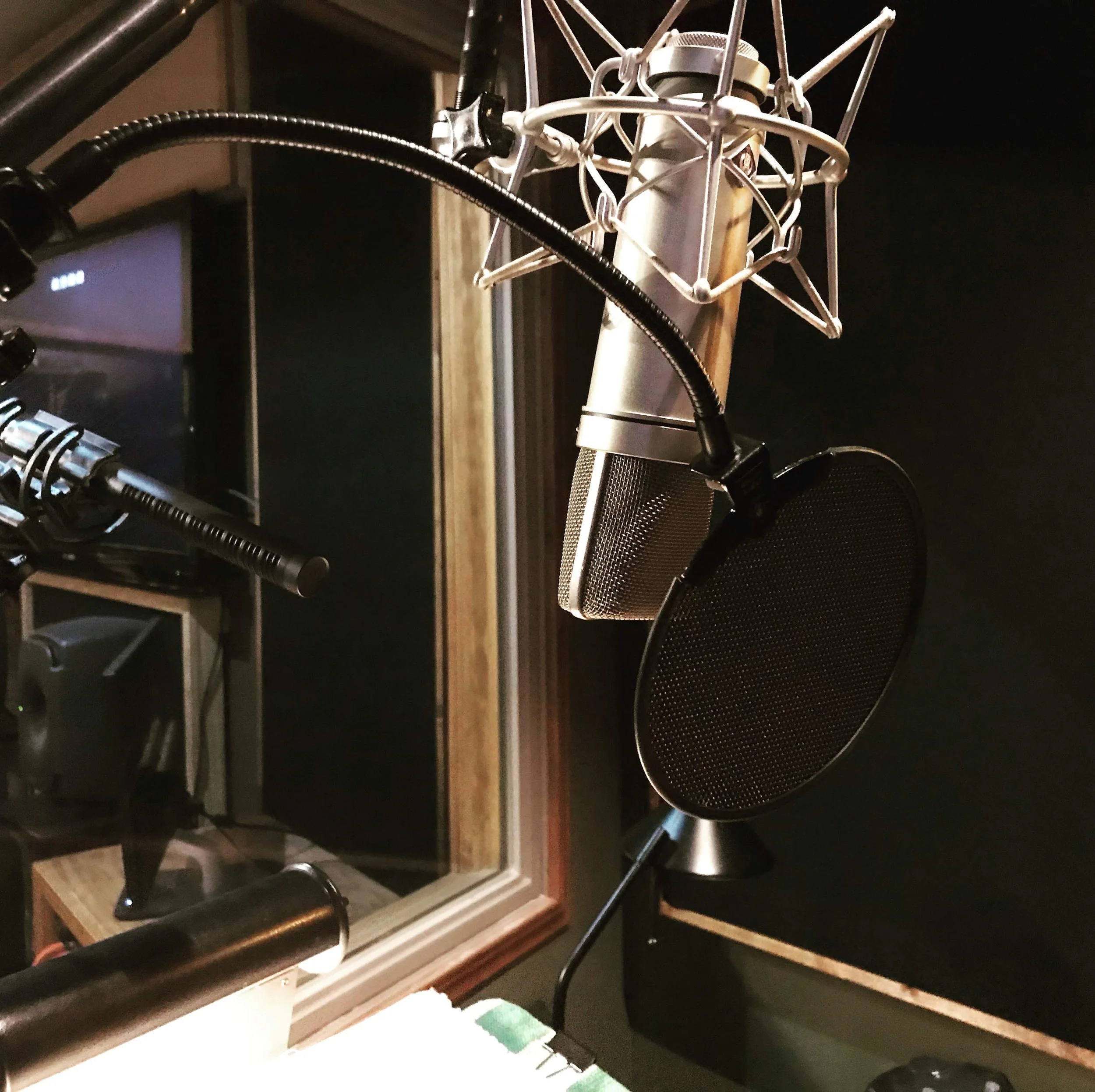 Neumann U87 and Neumann KMR 81i