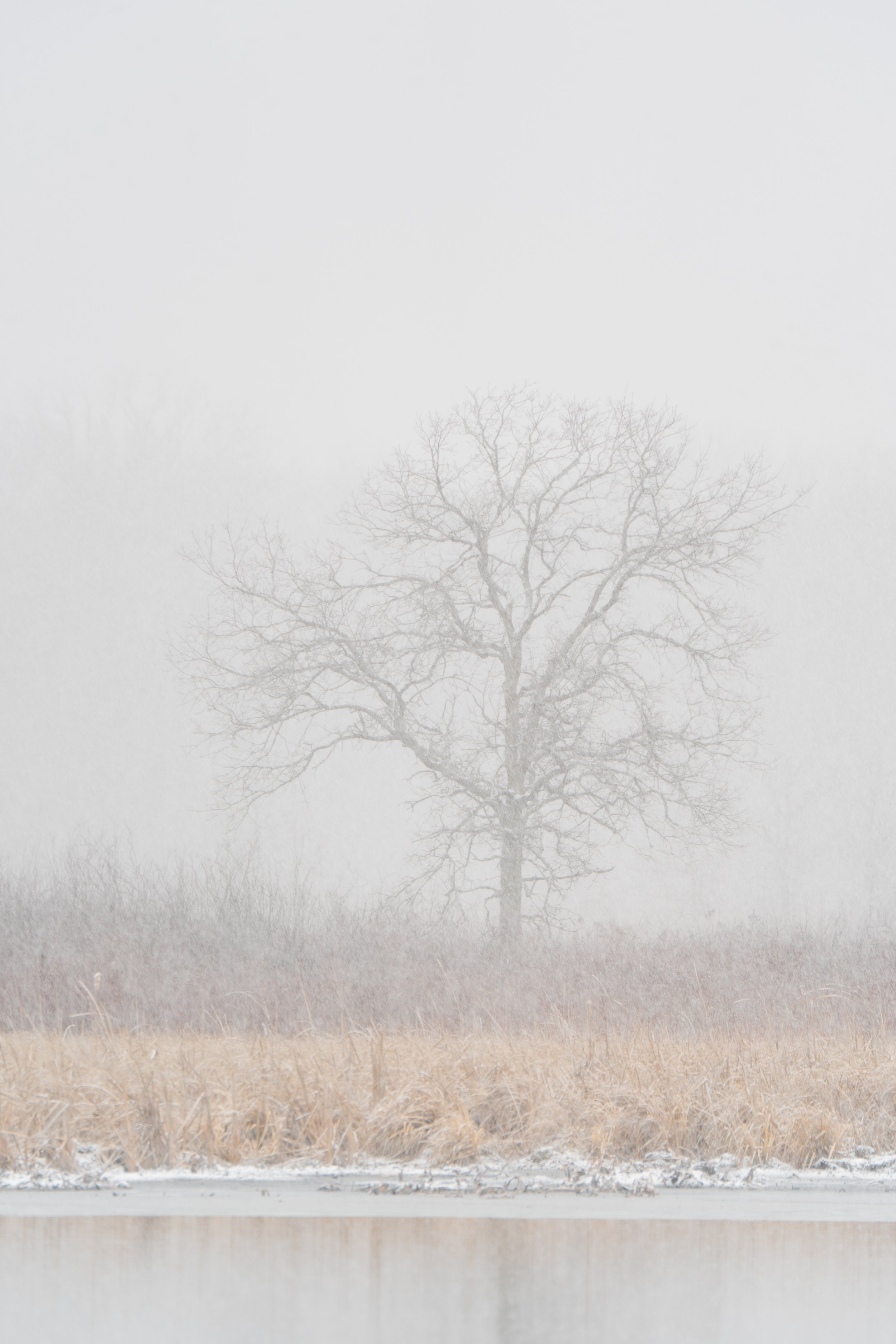 Winter's Hold