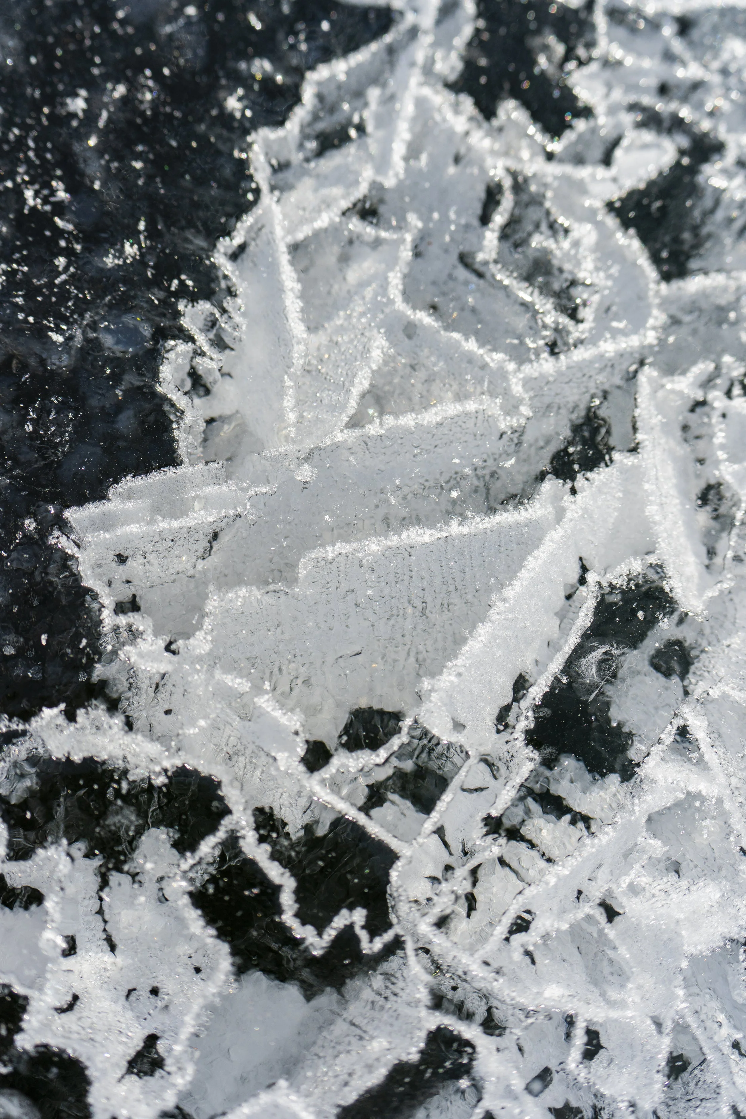 20250124-4KJ00295.jpg