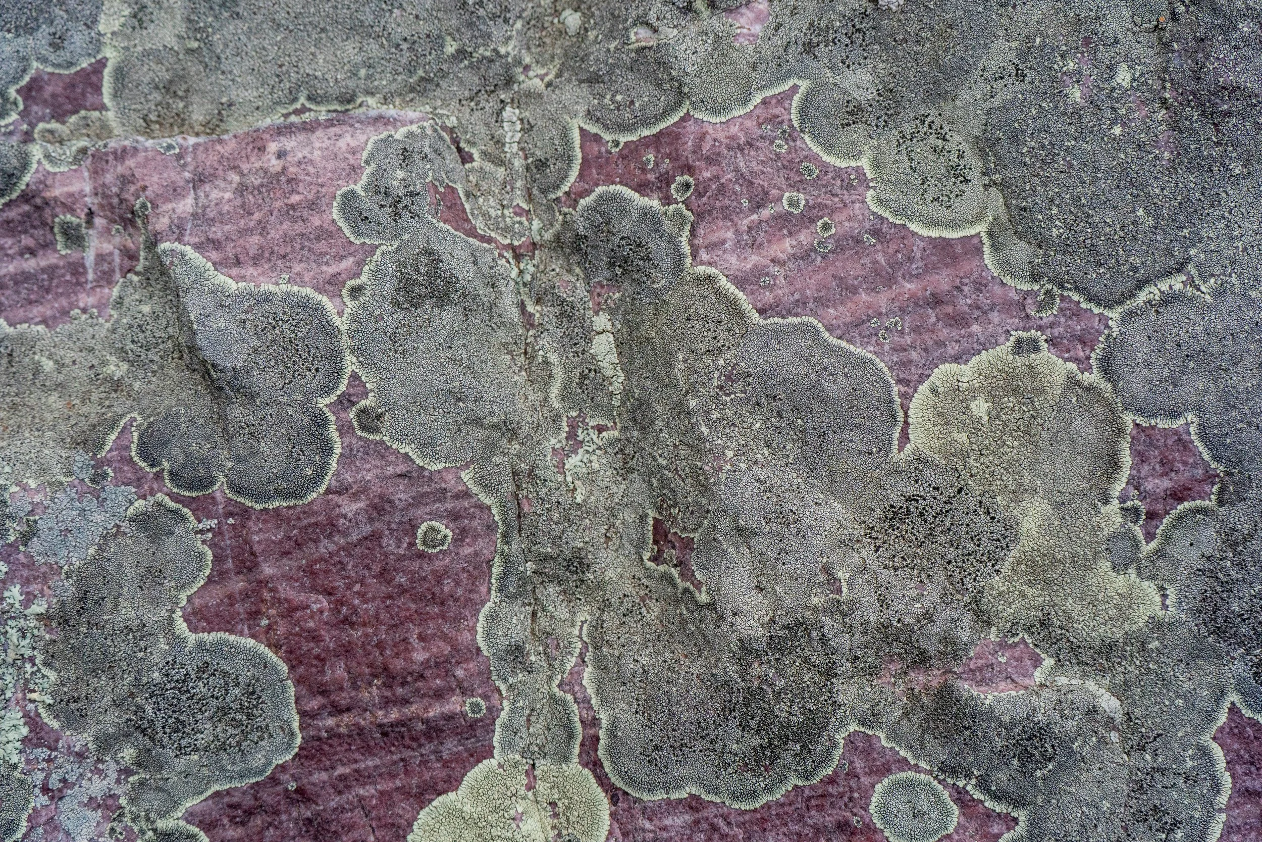 20250420-4KJ01474.jpg