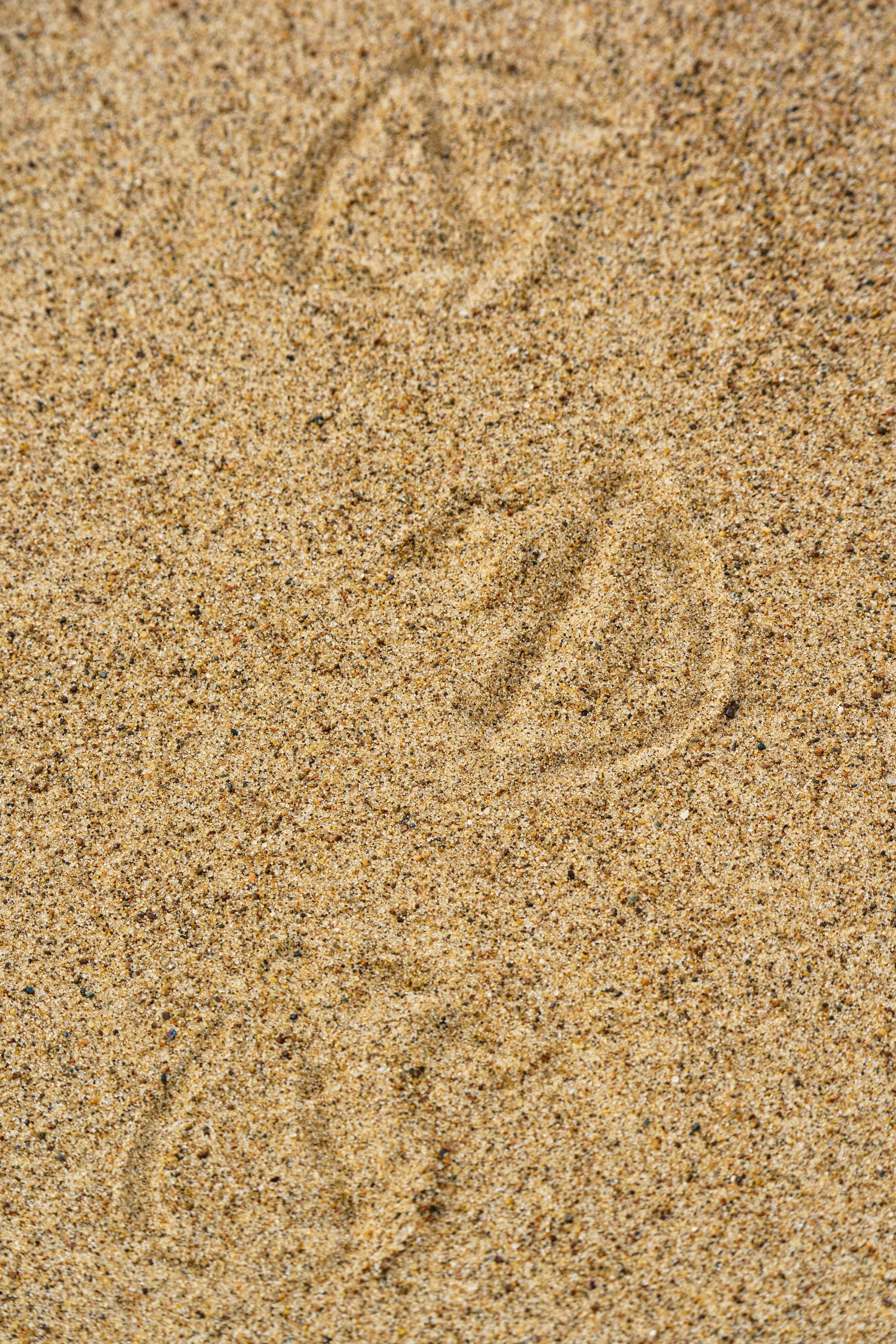 Sand Underfoot