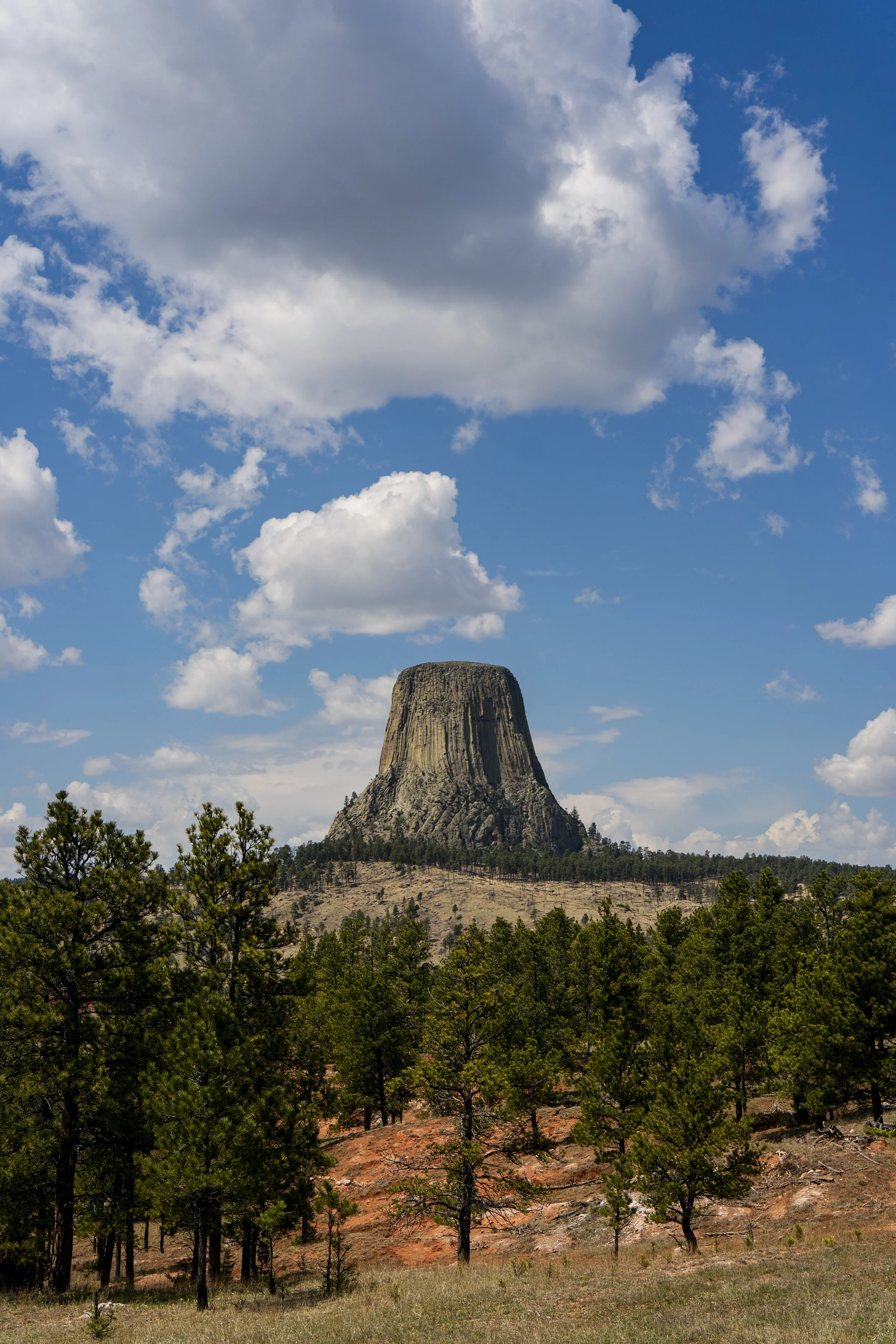 20240513-4KJ01041.jpg