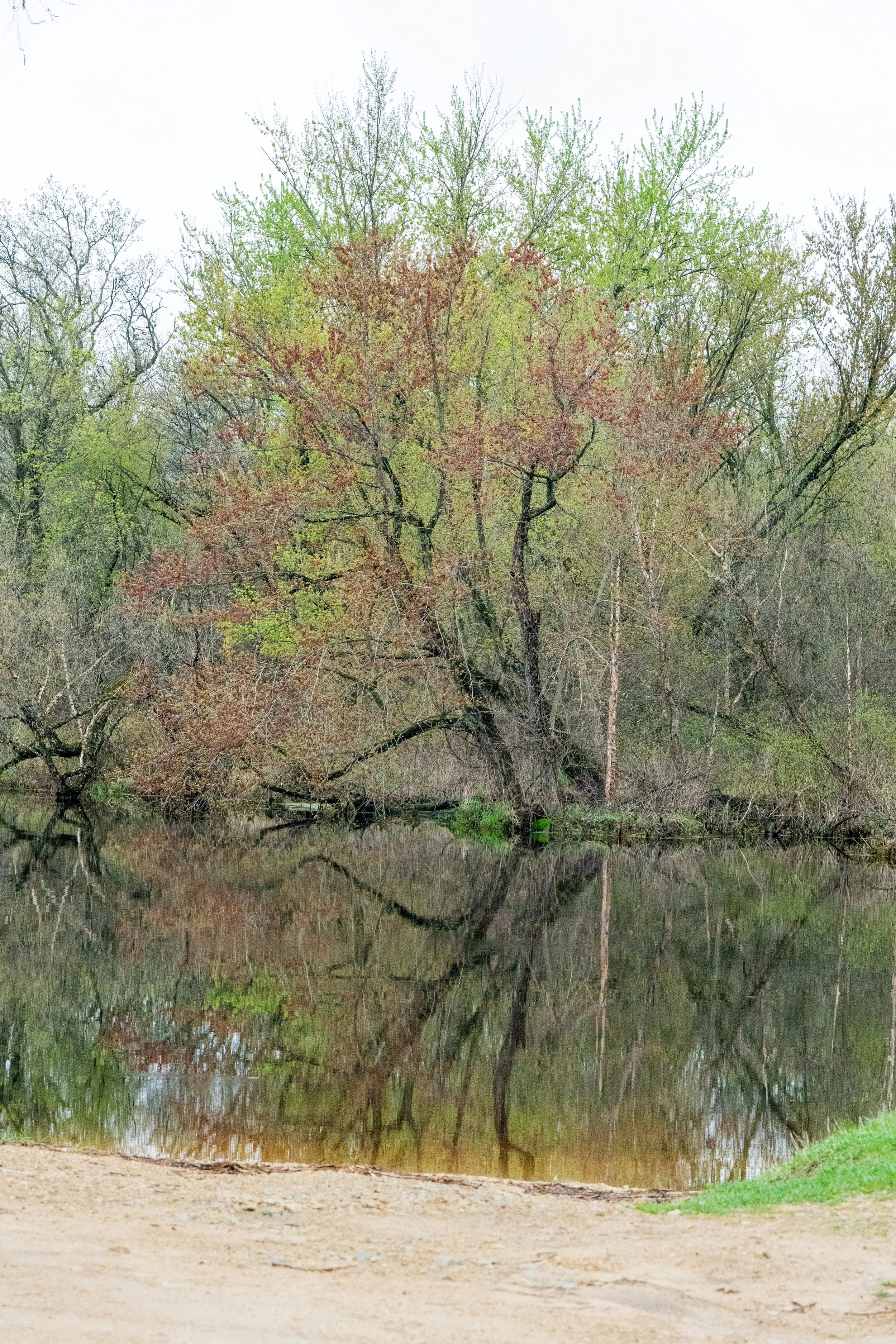 20250502-4KJ00084.jpg
