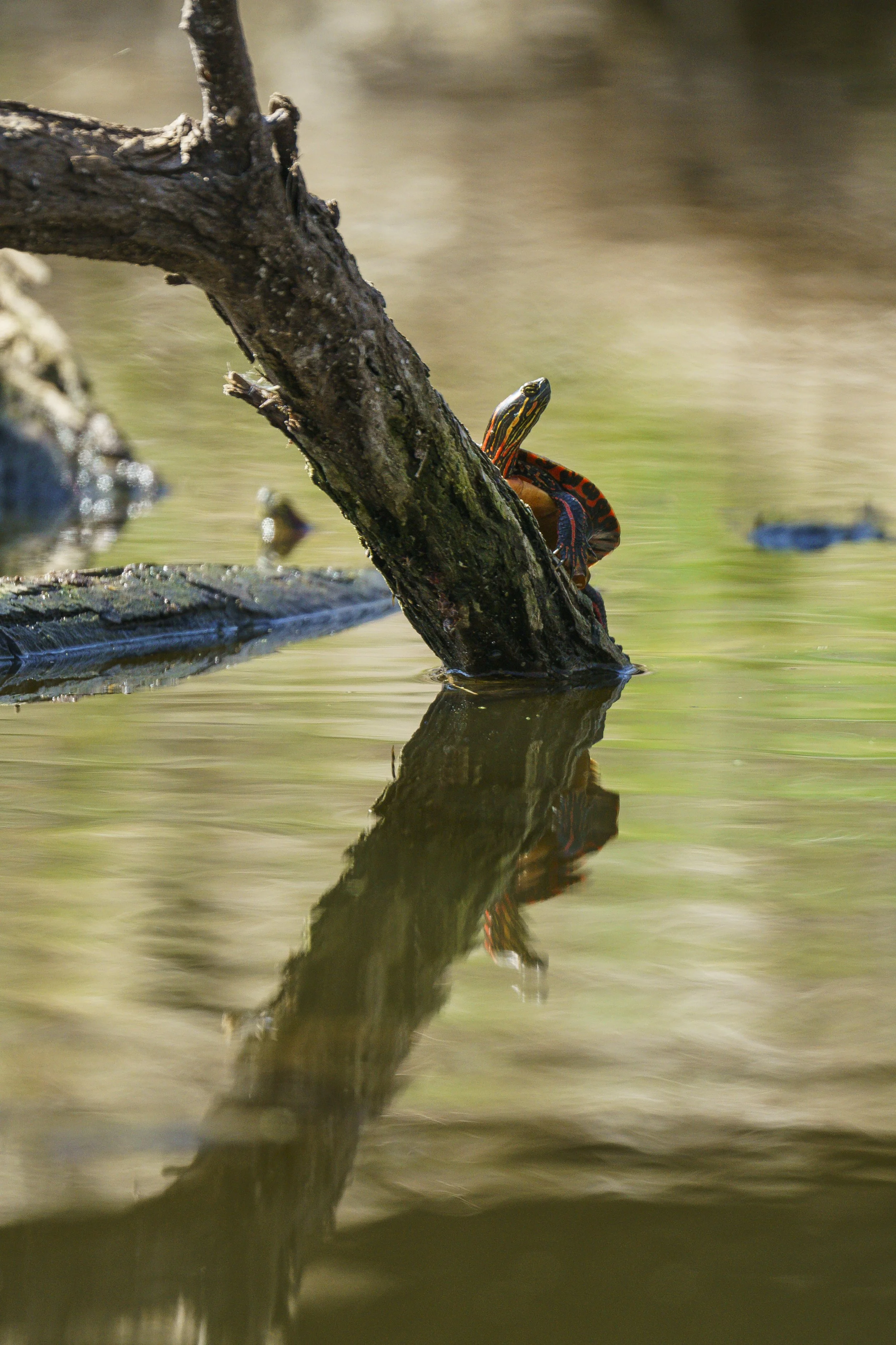 20240413-4KJ00691.jpg