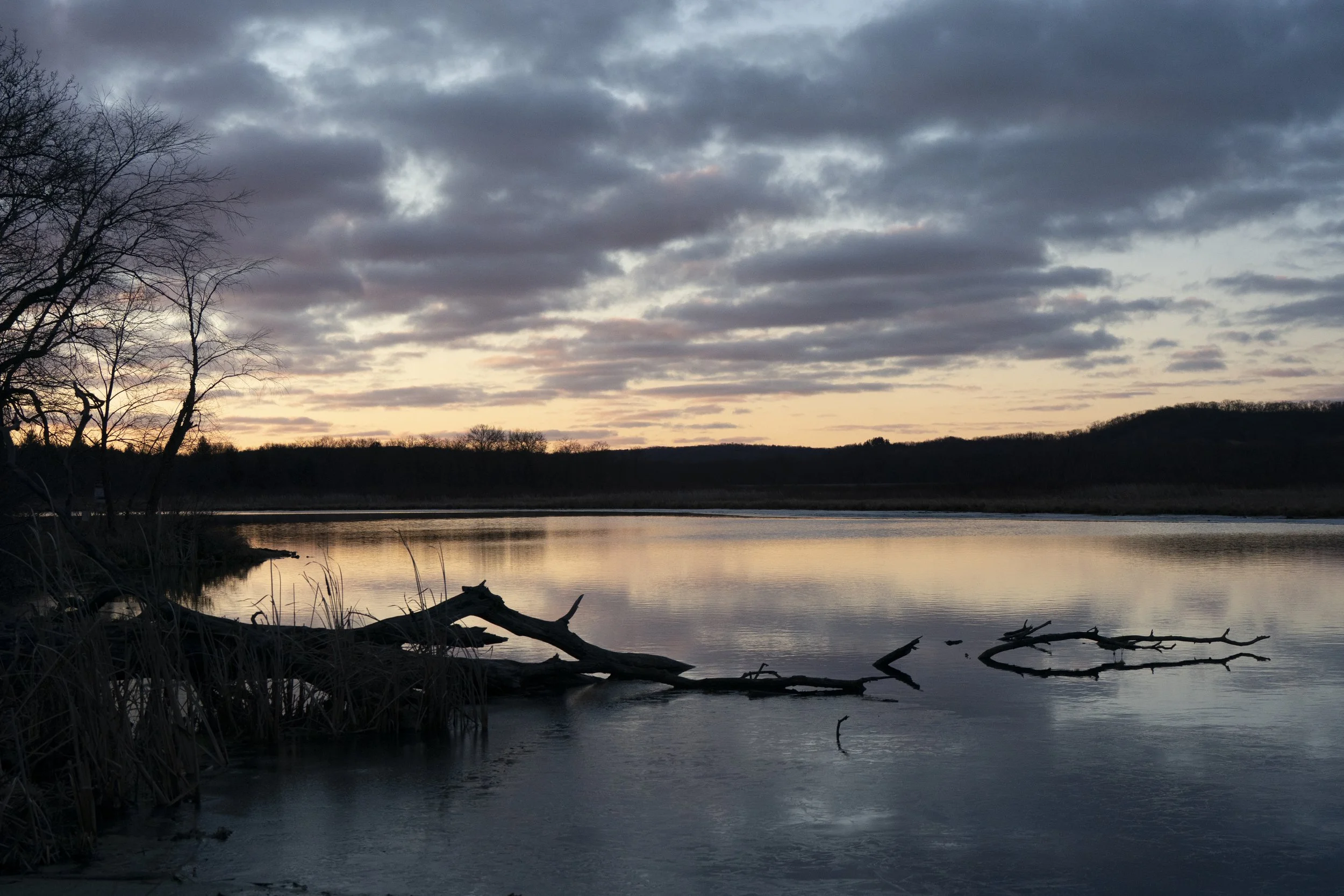 Simply Wisconsin