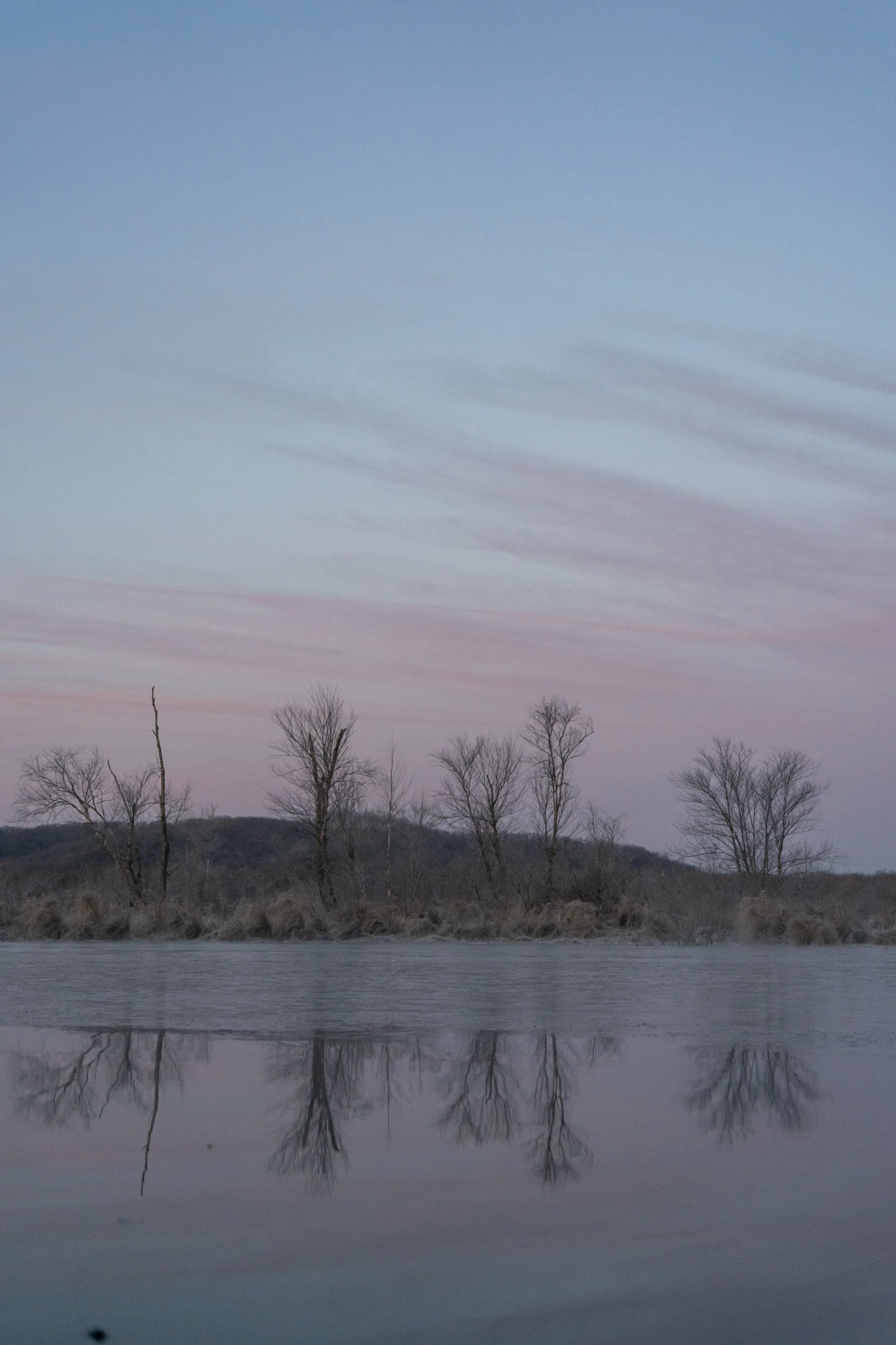 20250302-4KJ01863.jpg
