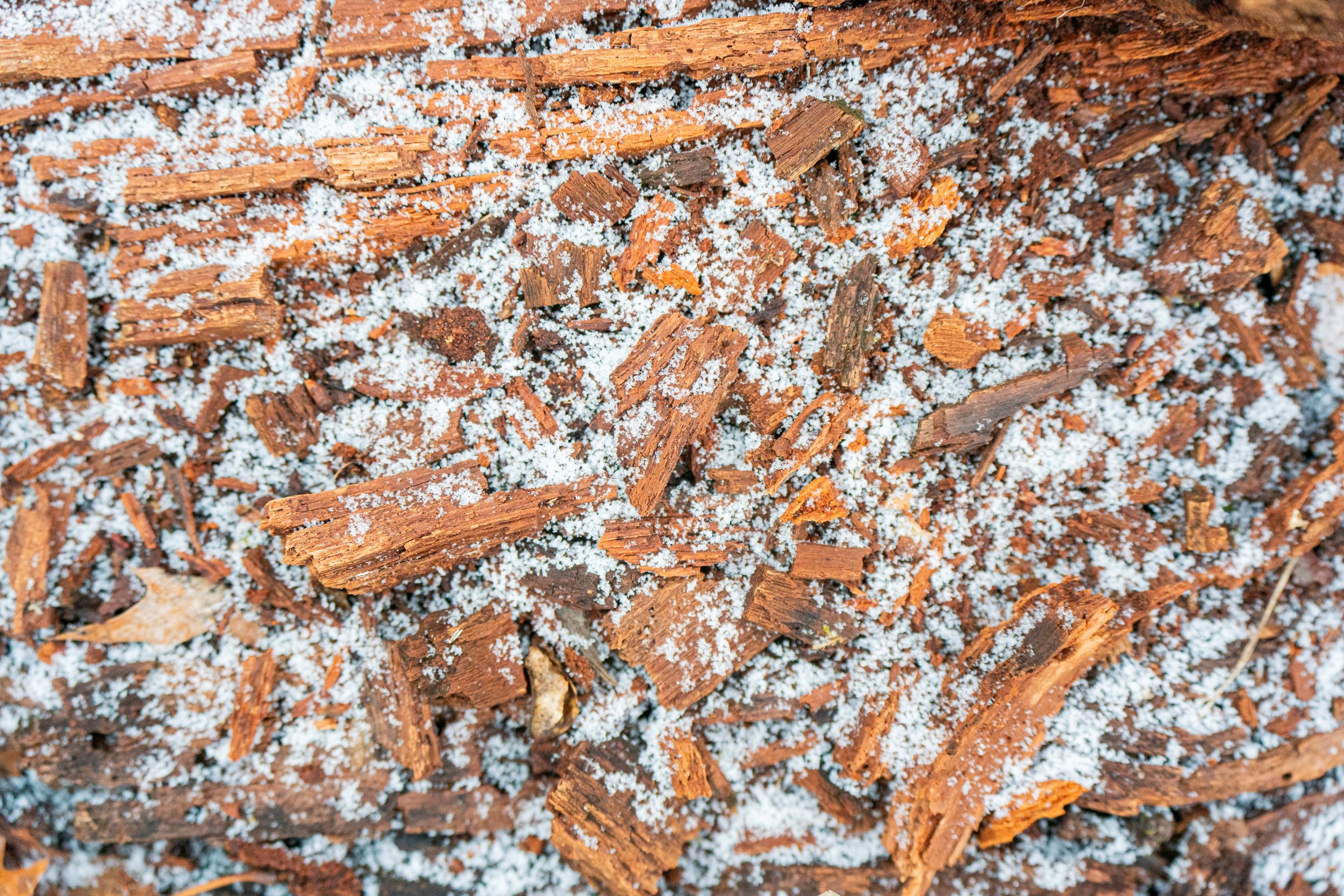 Dusted Fragments