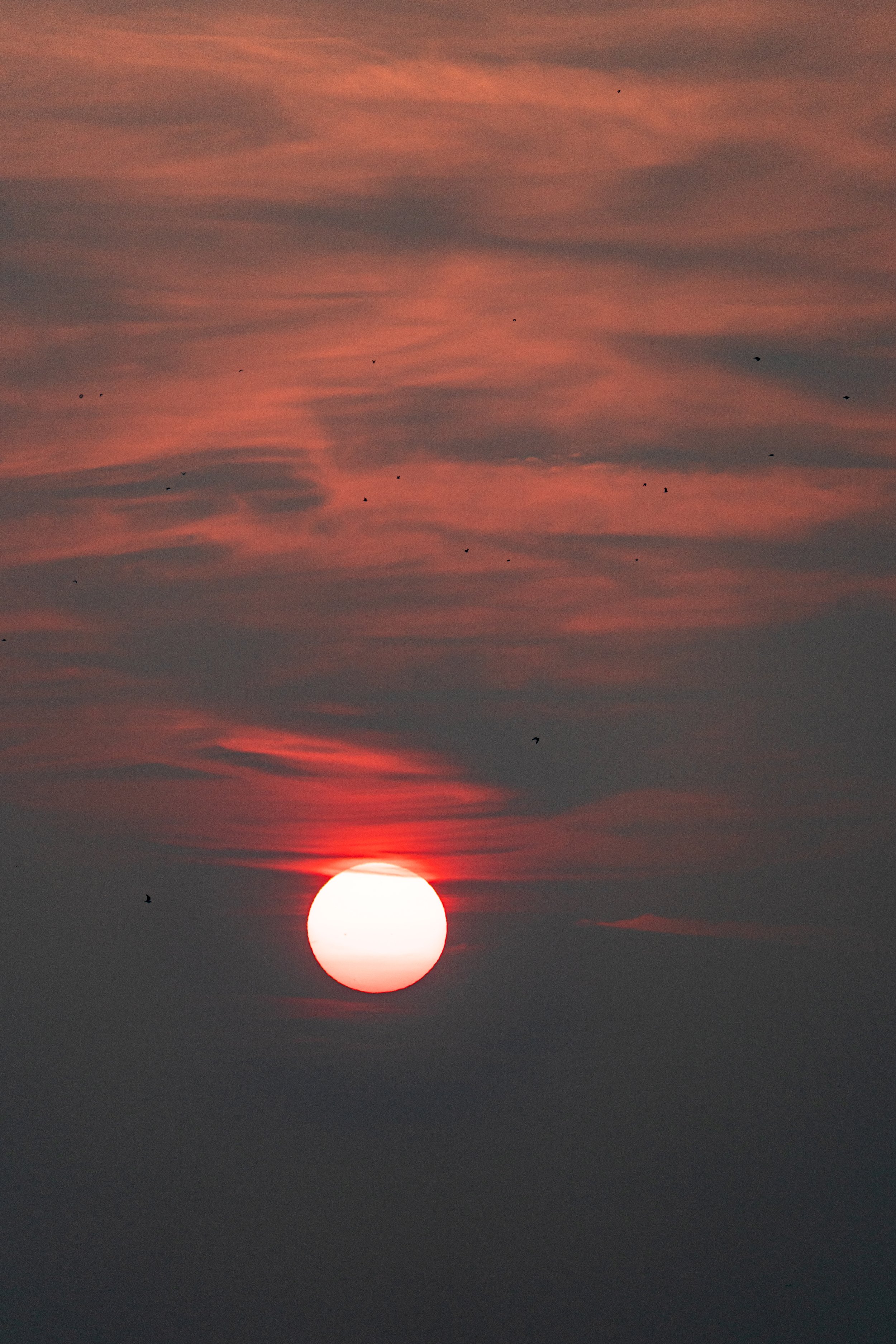 Flight Before the Sunrise
