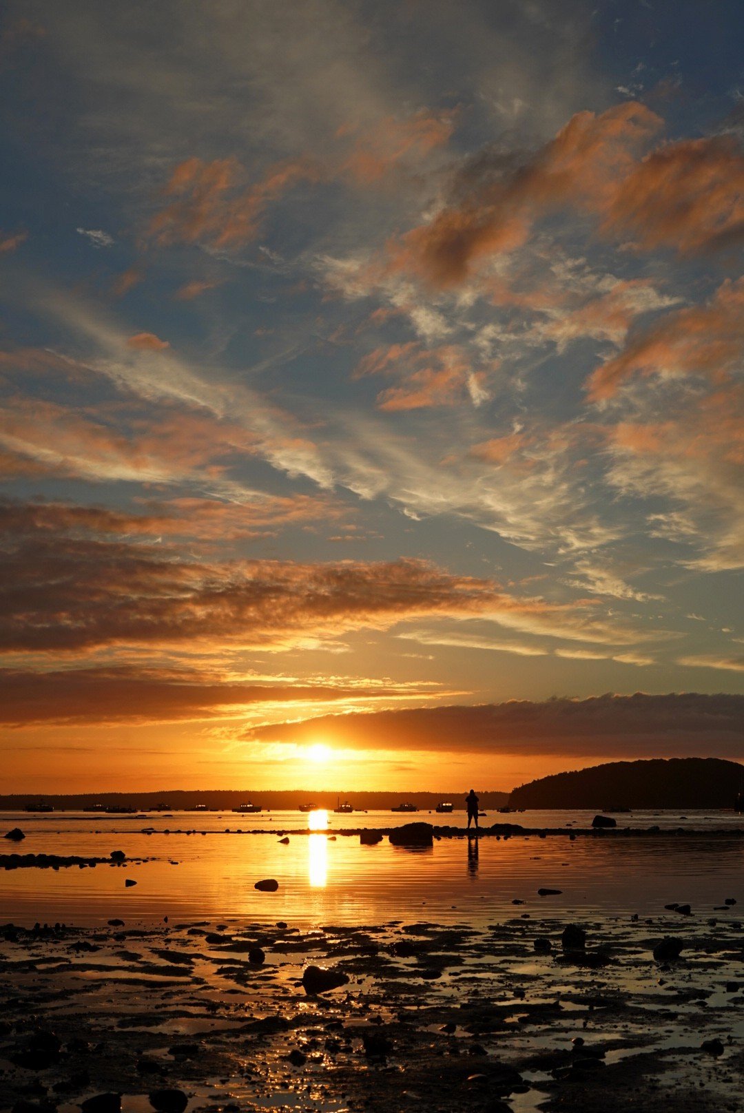 The sun rises across the harbor as a lone spectator watches from the tidal flats. Bar Harbor, Maine. 