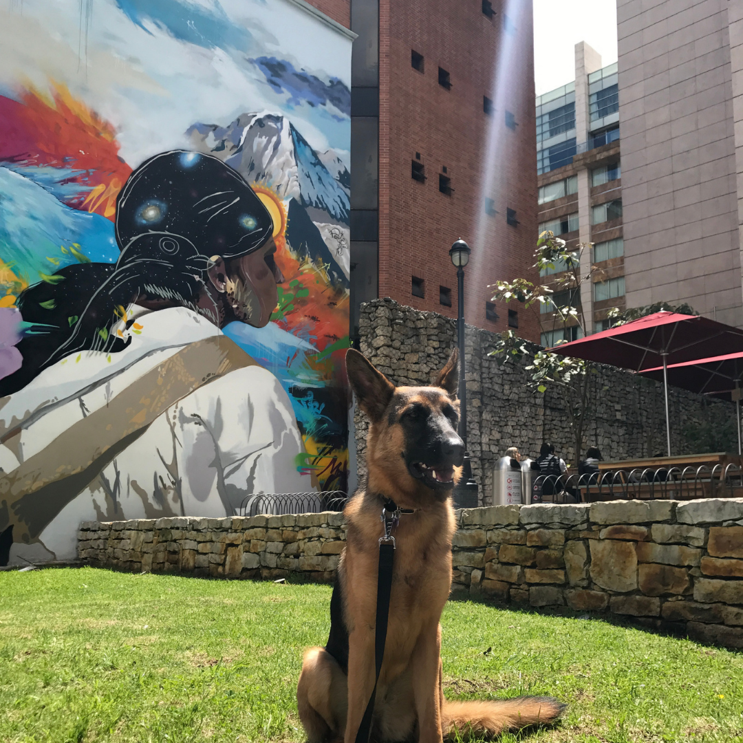 Mural pet friendly de Juan Valdez: una marca que conecta con el estilo de vida de sus clientes
