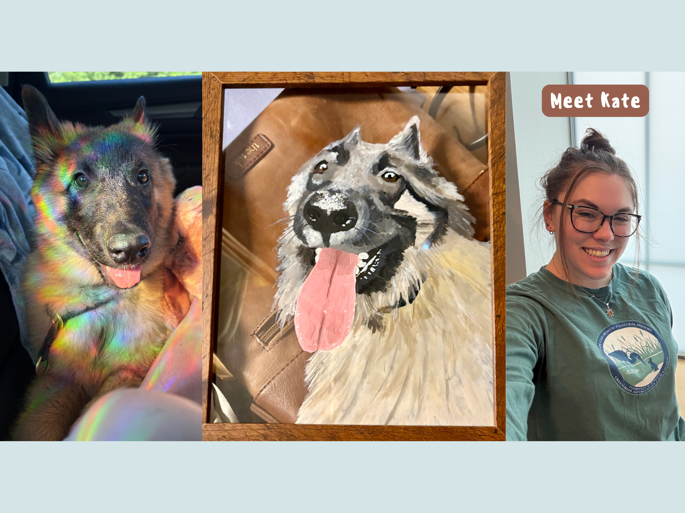 Pet Paints &amp; More